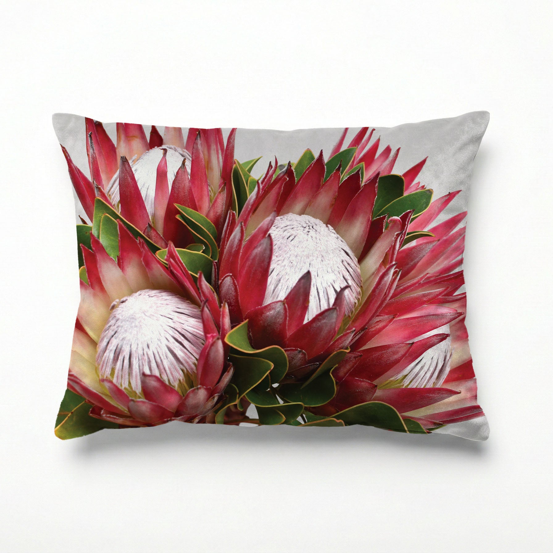 THE CLUSTER PROTEAS SCATTER CUSHION