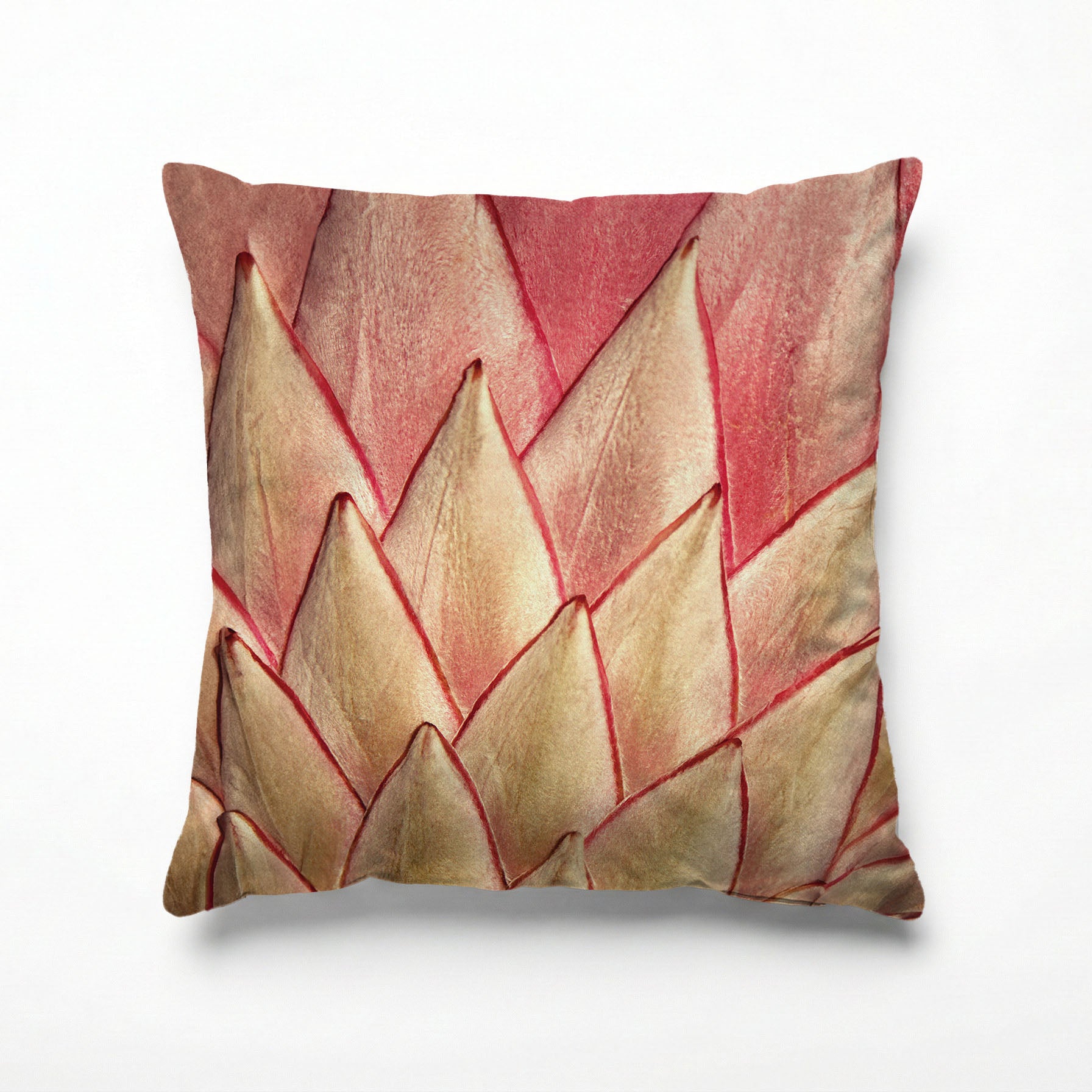 PINK PROTEA DETAIL SCATTER CUSHION