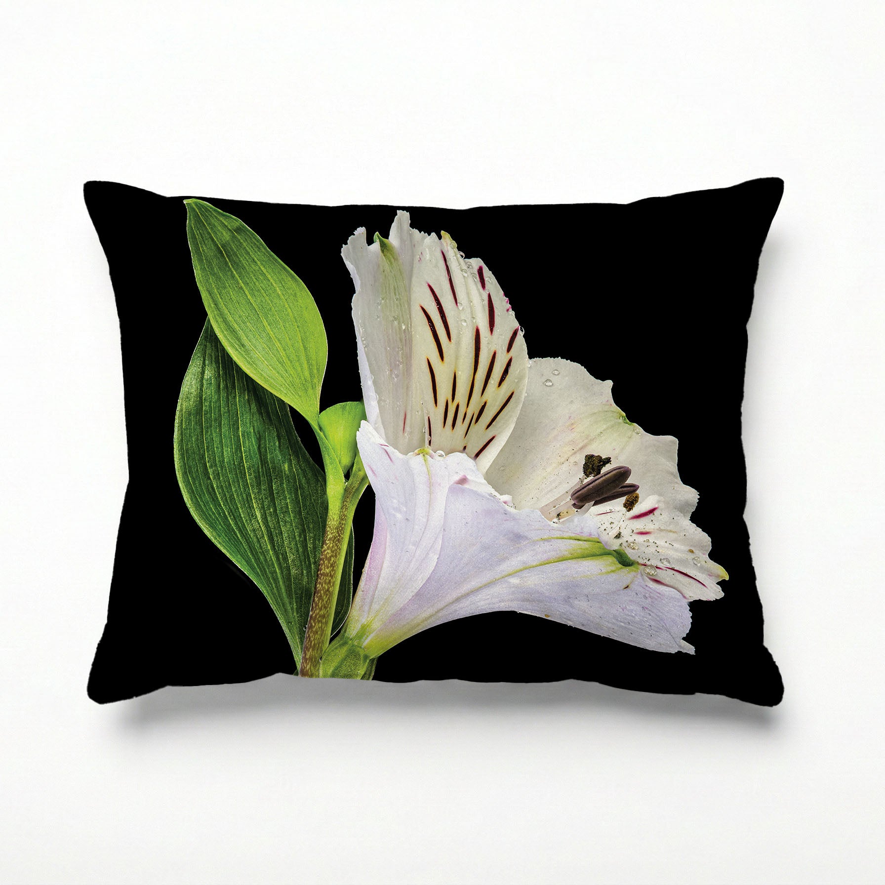 INCA SOLO SCATTER CUSHION