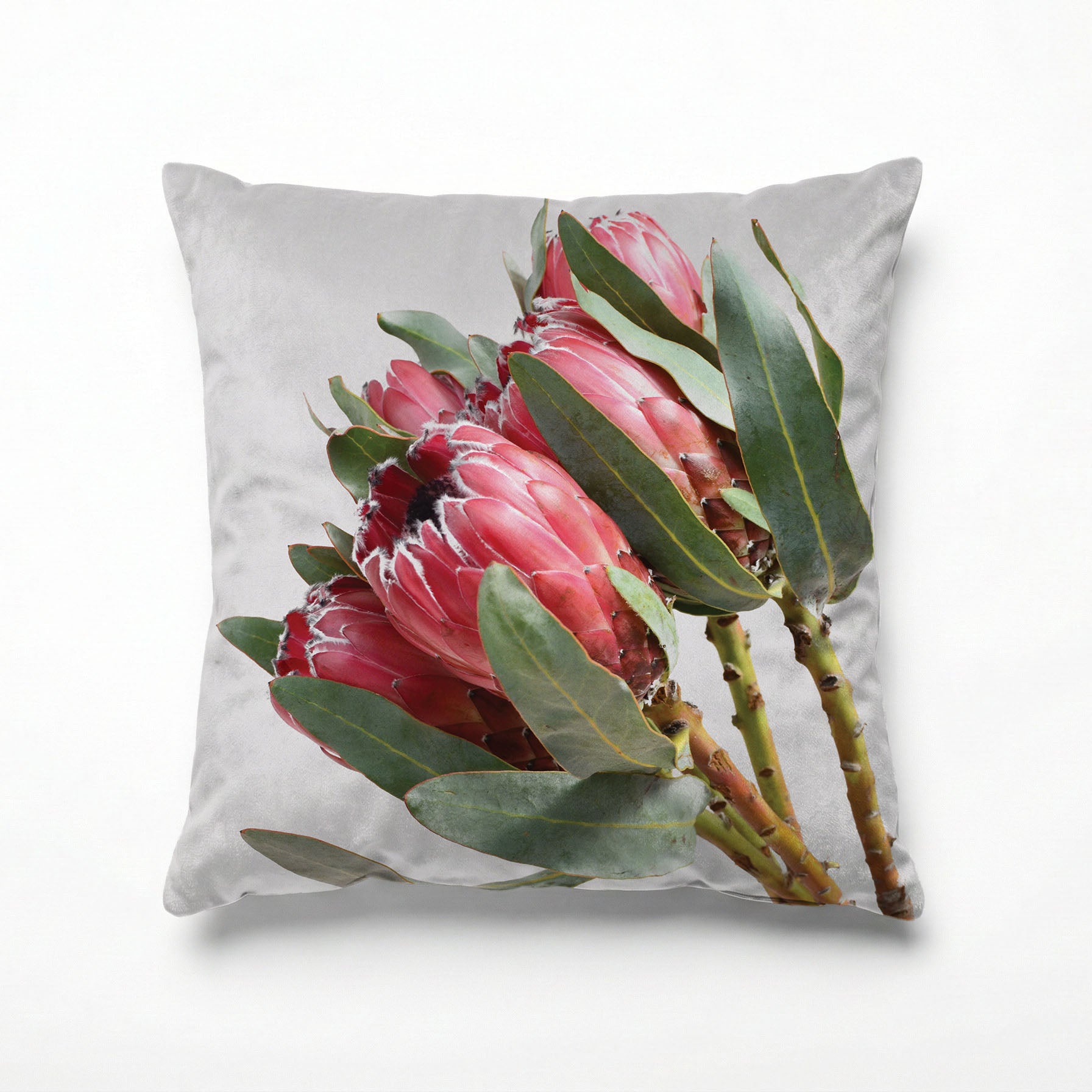 STANDING TALL PROTEAS SCATTER CUSHION