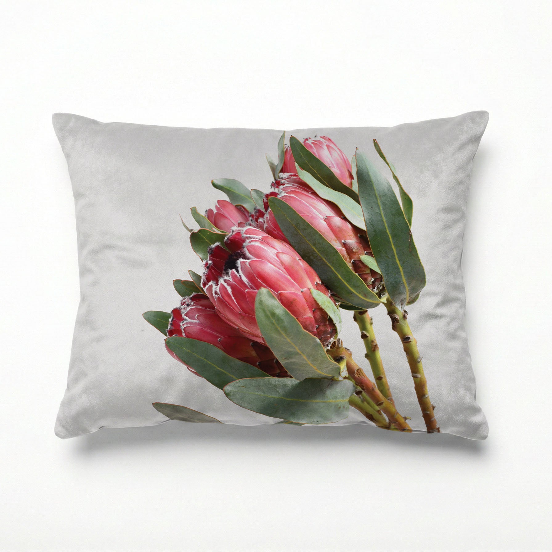 STANDING TALL PROTEAS SCATTER CUSHION