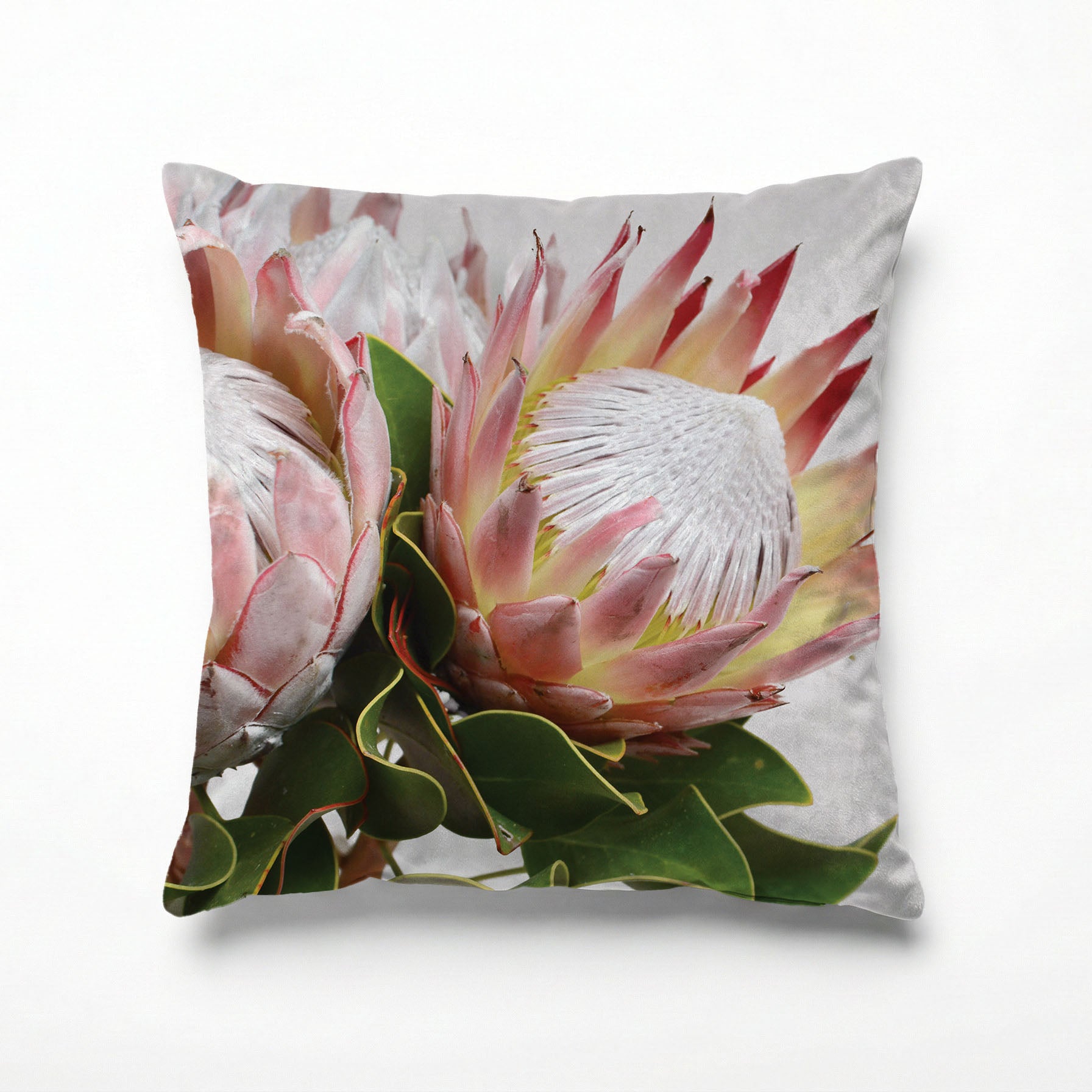 SOFT TRIO PROTEAS SCATTER CUSHION