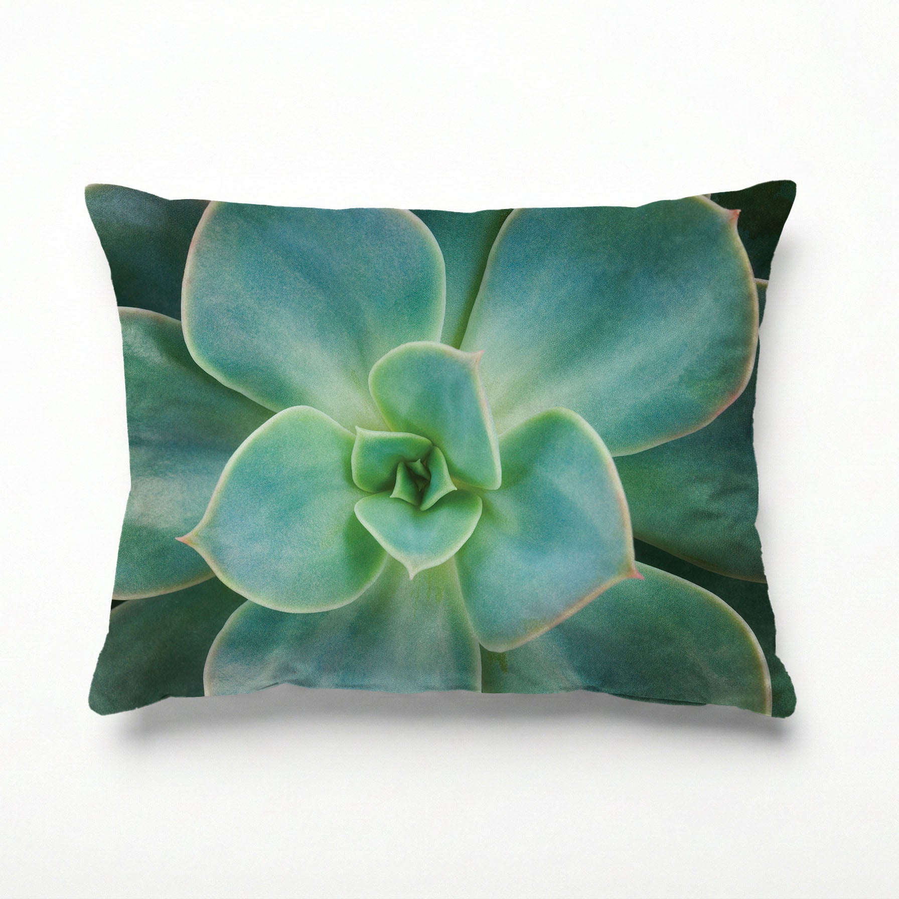 SOFT ROSETTE SUCCULENT SCATTER CUSHION