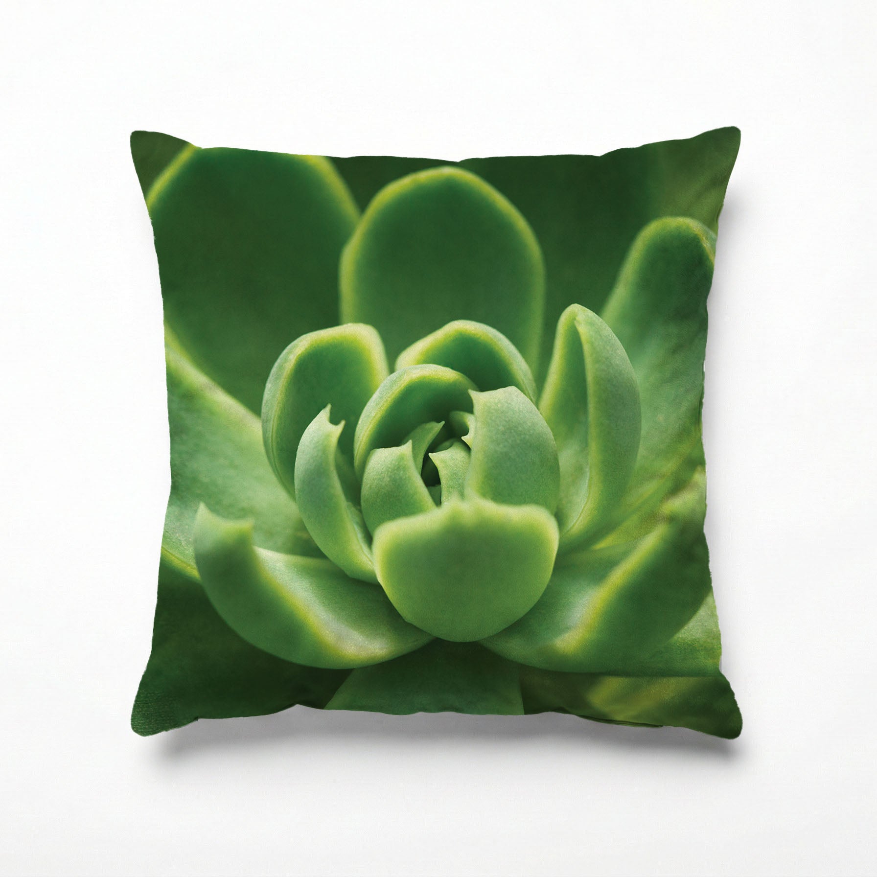 GREEN CORE SUCCULENT SCATTER CUSHION