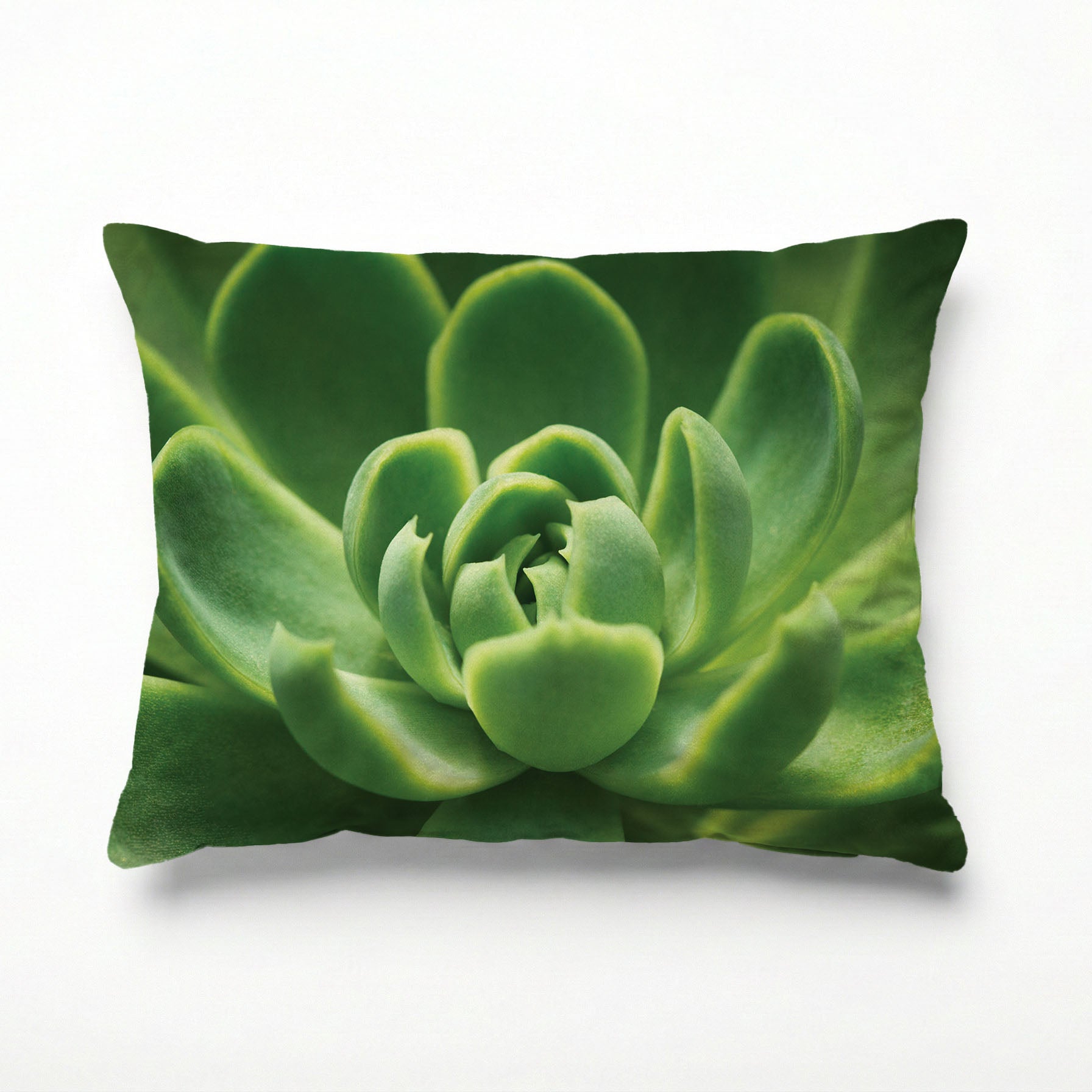 GREEN CORE SUCCULENT SCATTER CUSHION