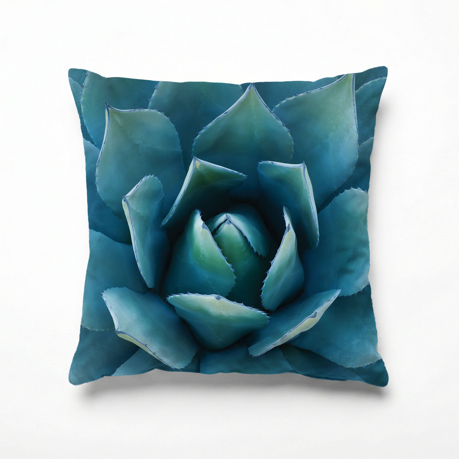 BLUE POINT SUCCULENT SCATTER CUSHION