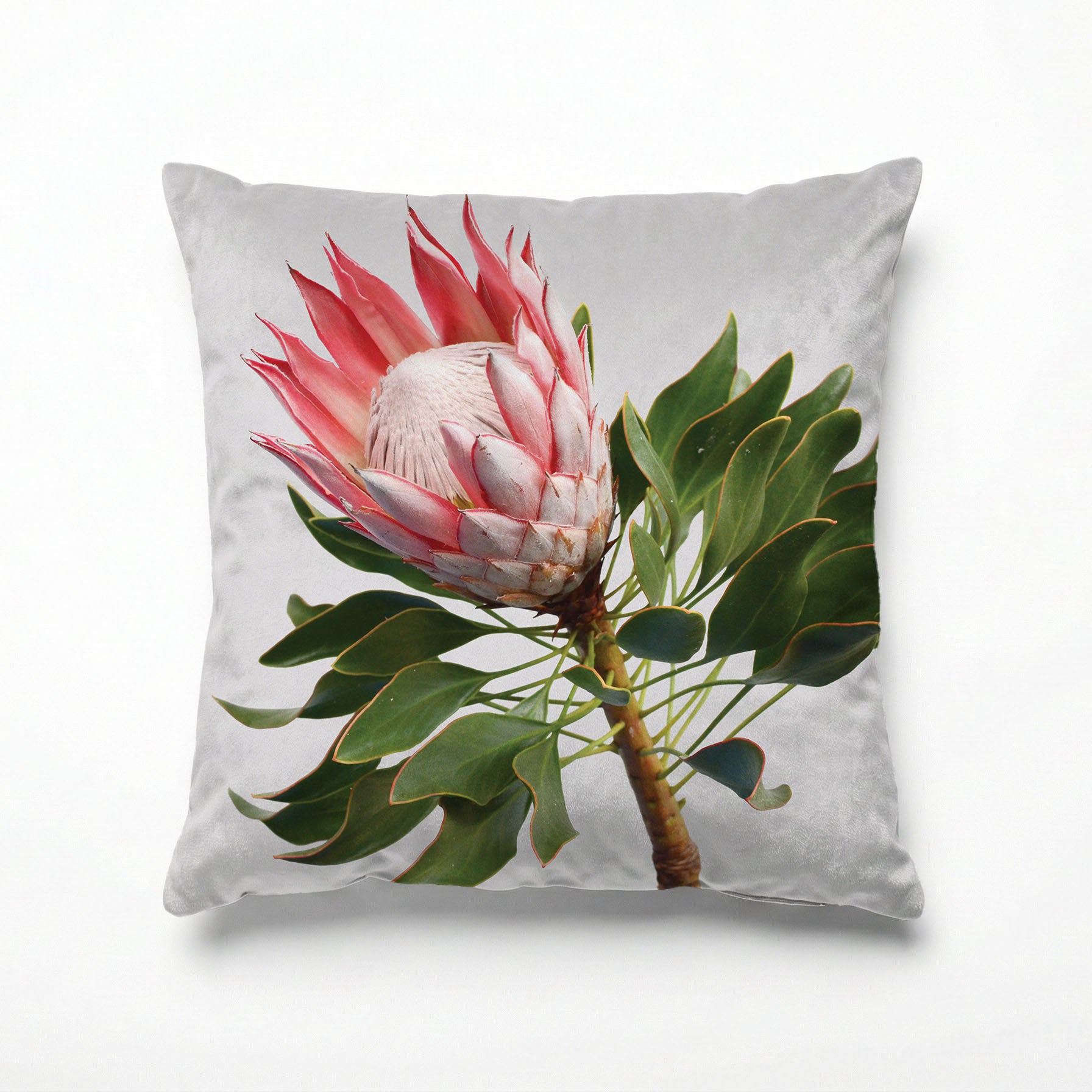 THE SOLO PROTEA SCATTER CUSHION