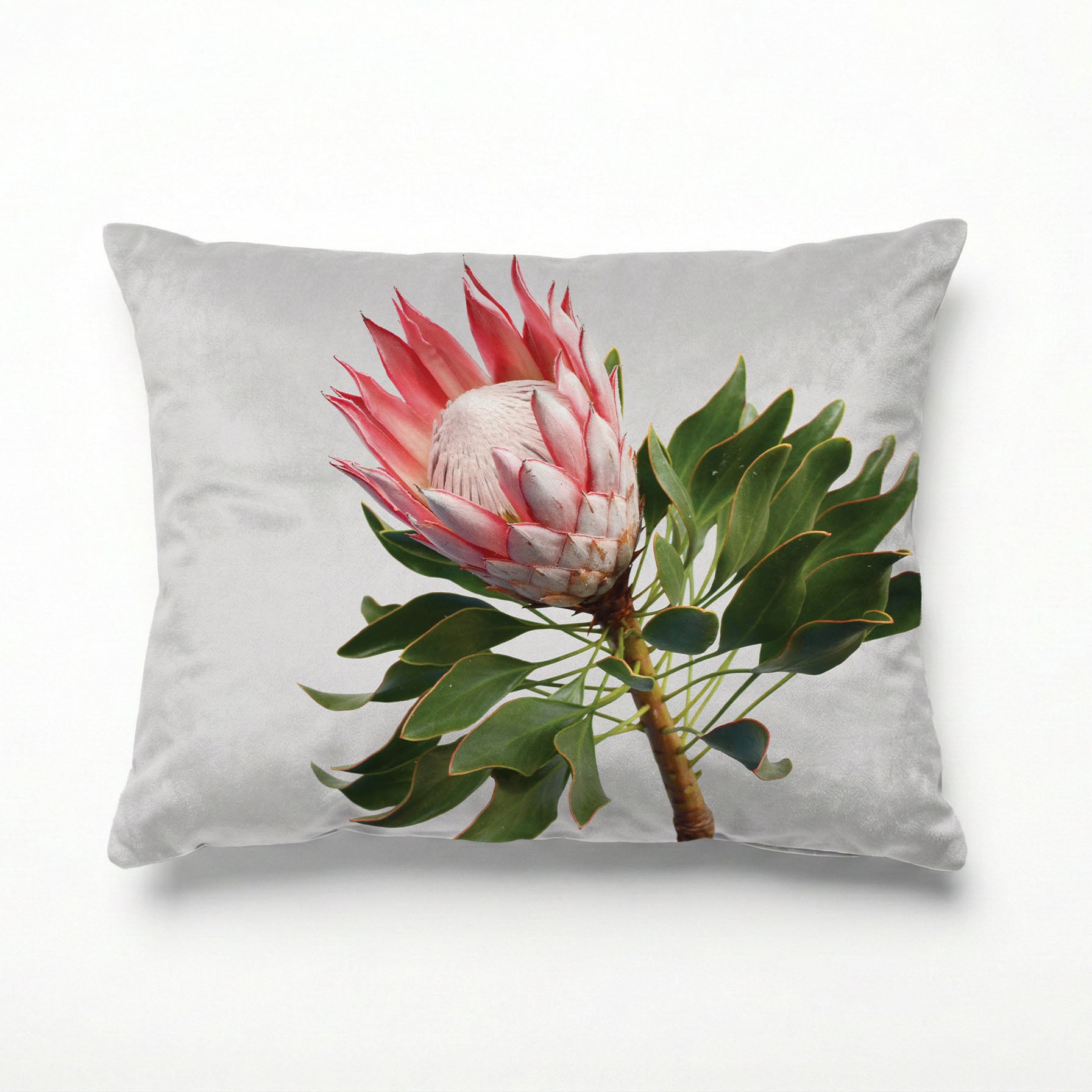 THE SOLO PROTEA SCATTER CUSHION