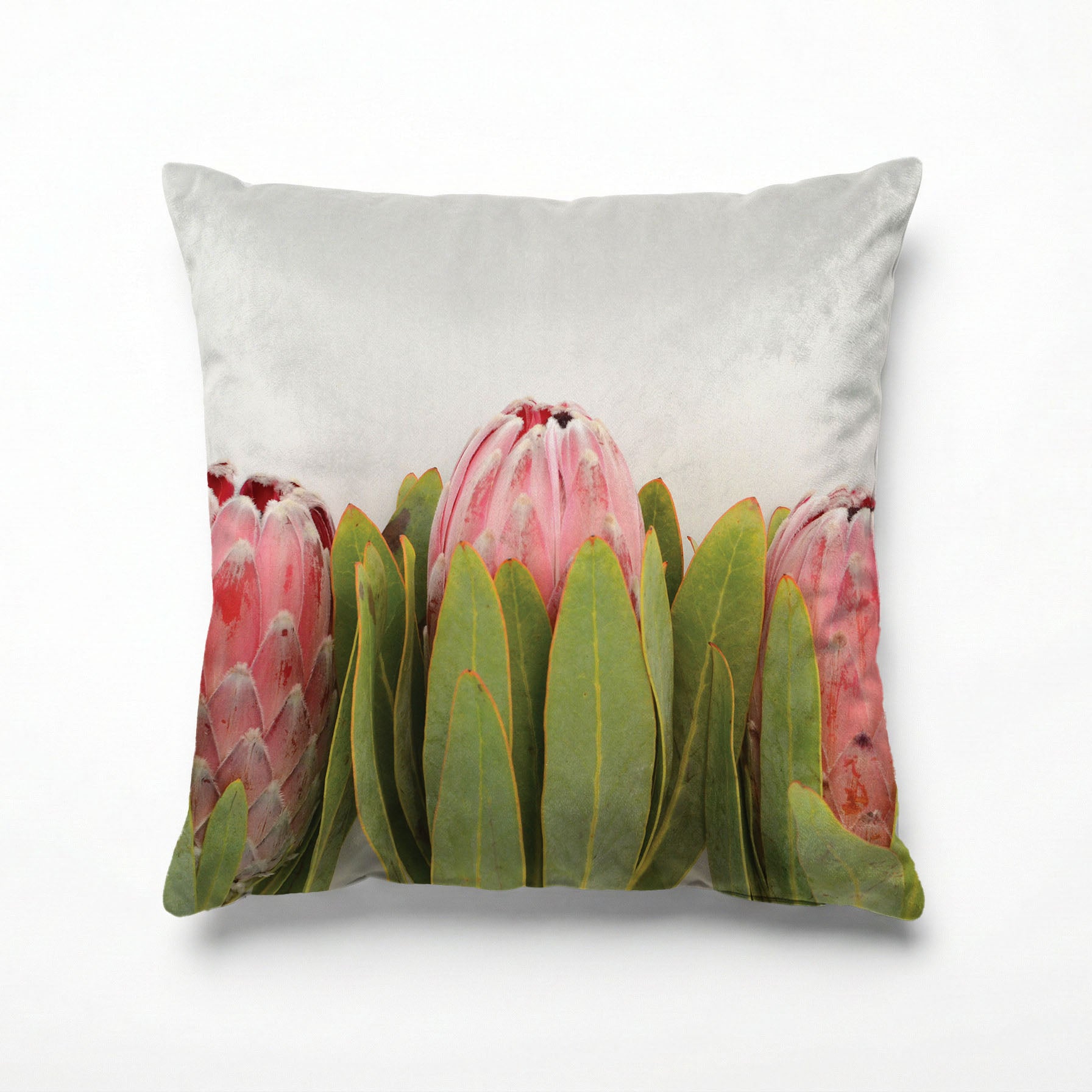 LINED UP PROTEAS SCATTER CUSHION