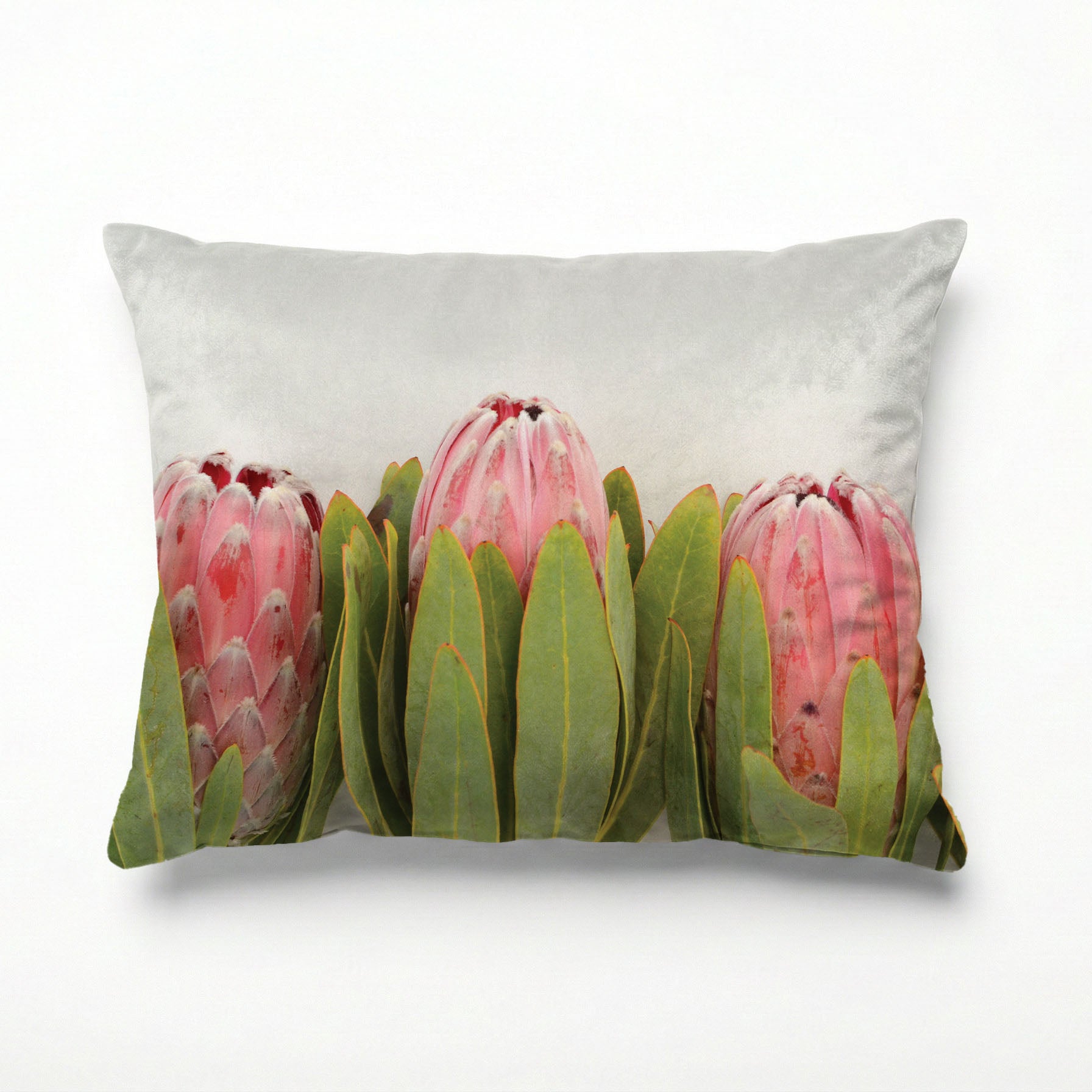 LINED UP PROTEAS SCATTER CUSHION