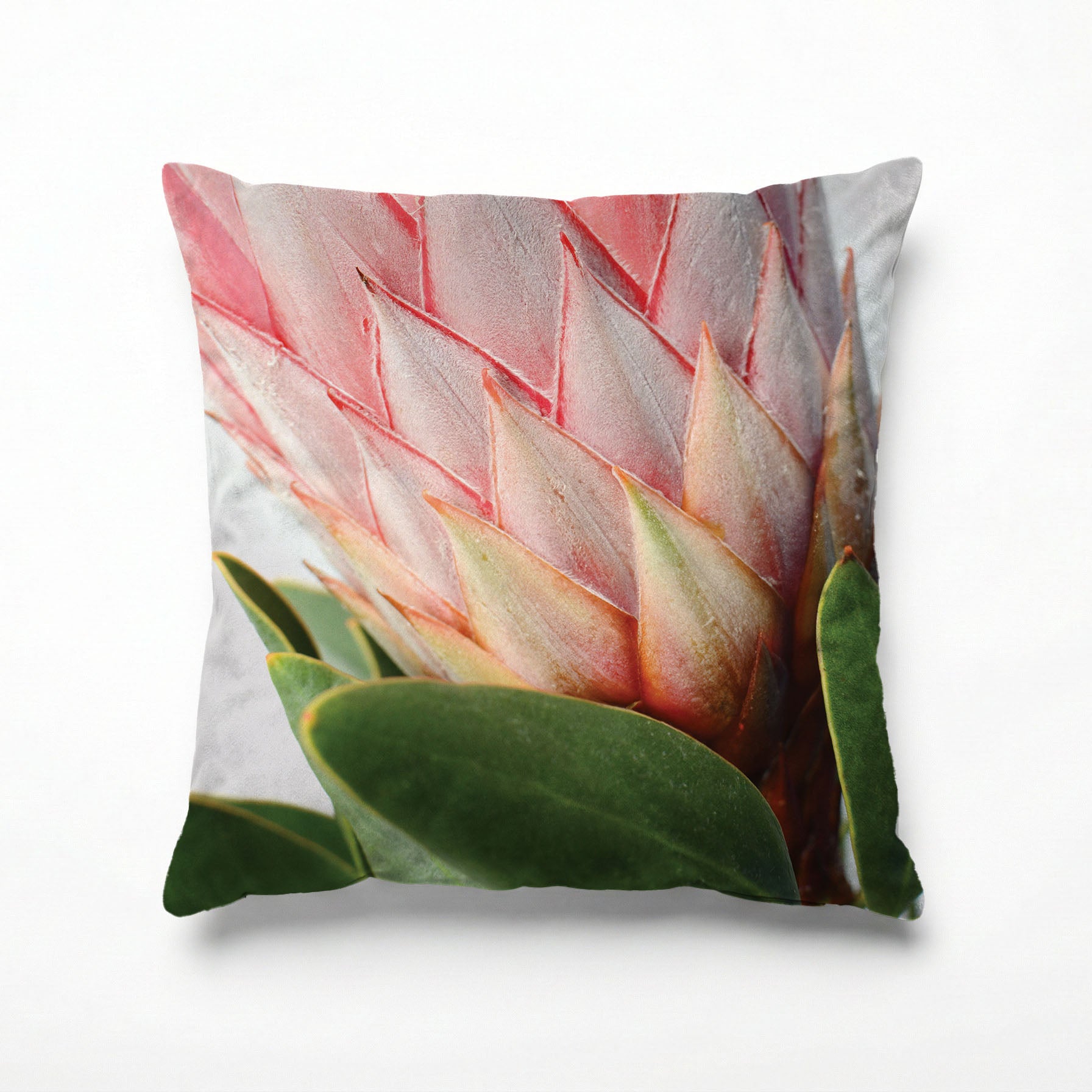 THE SIDE PROTEA SCATTER CUSHION