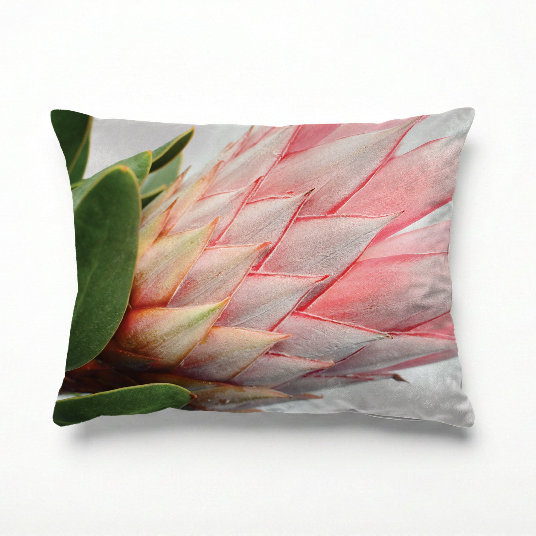 THE SIDE PROTEA SCATTER CUSHION