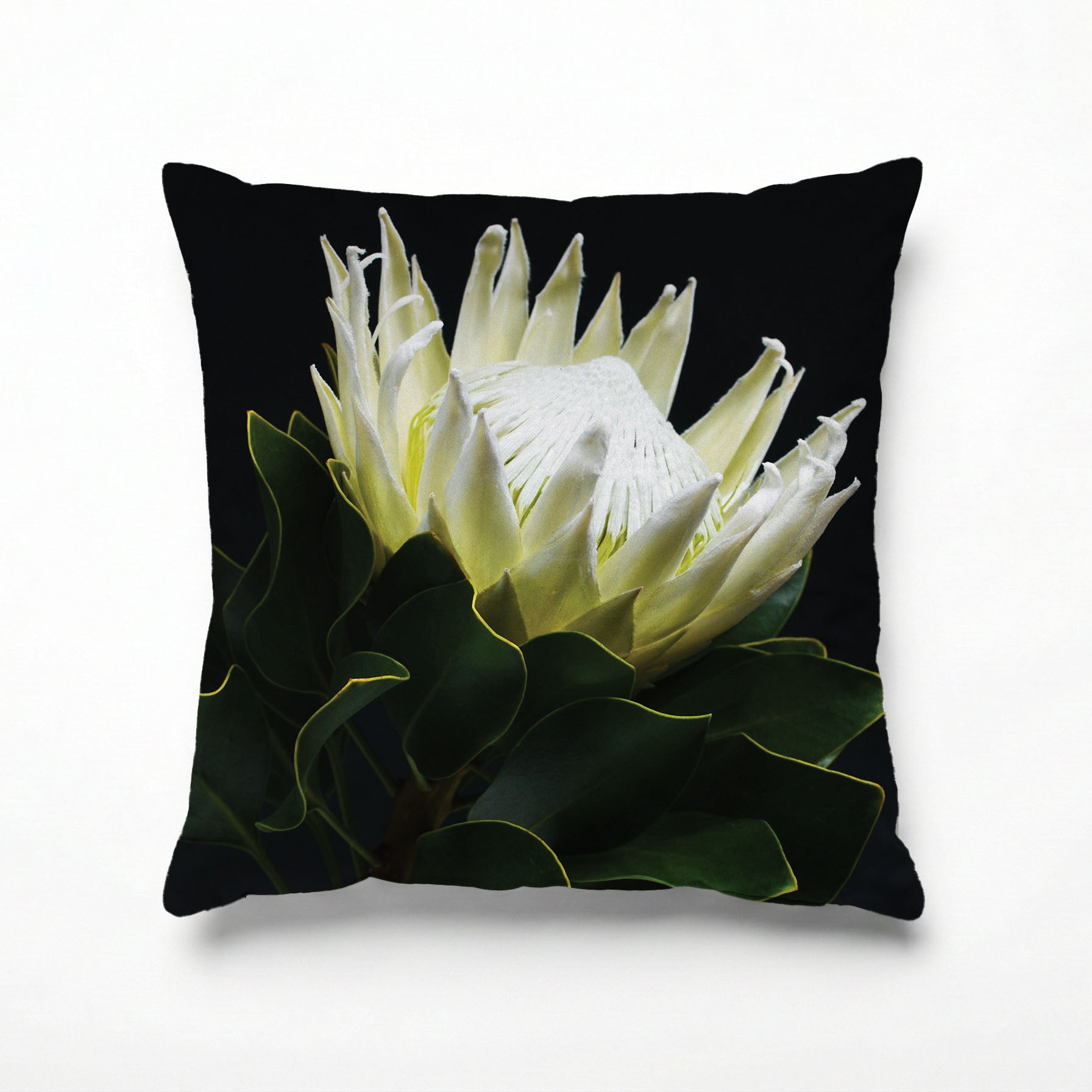 MIDNIGHT WHTIE PROTEA SCATTER CUSHION