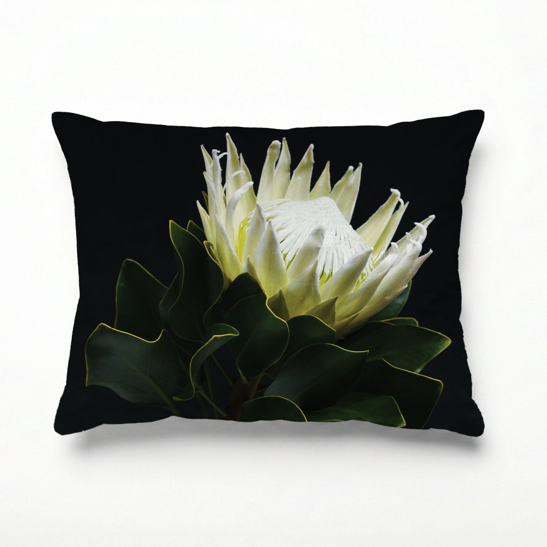 MIDNIGHT WHTIE PROTEA SCATTER CUSHION
