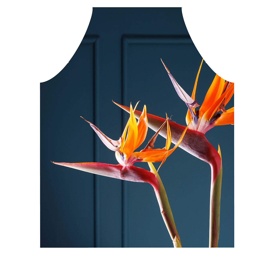 STRELITZIA TRIO ON RICH BLUE APRON