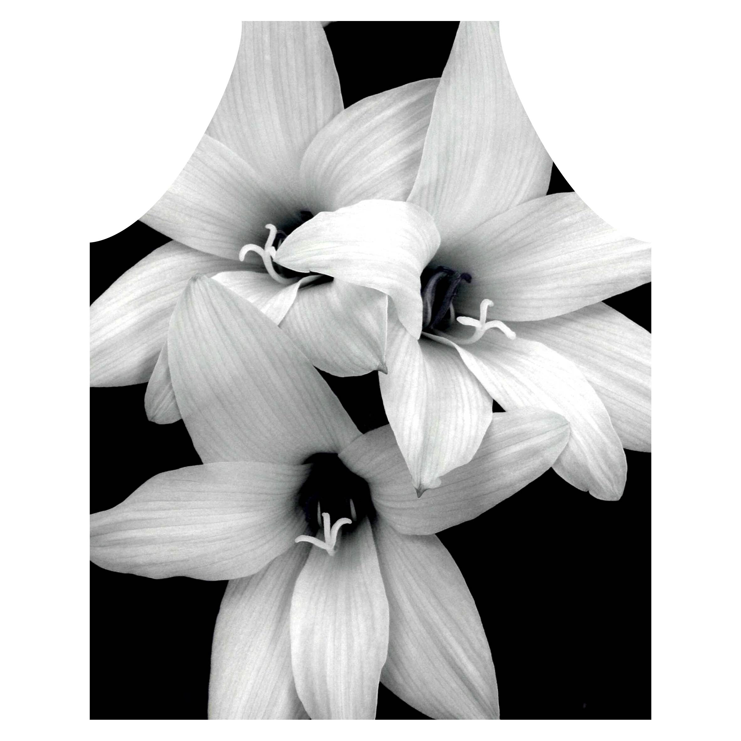 LILY NOIR APRON