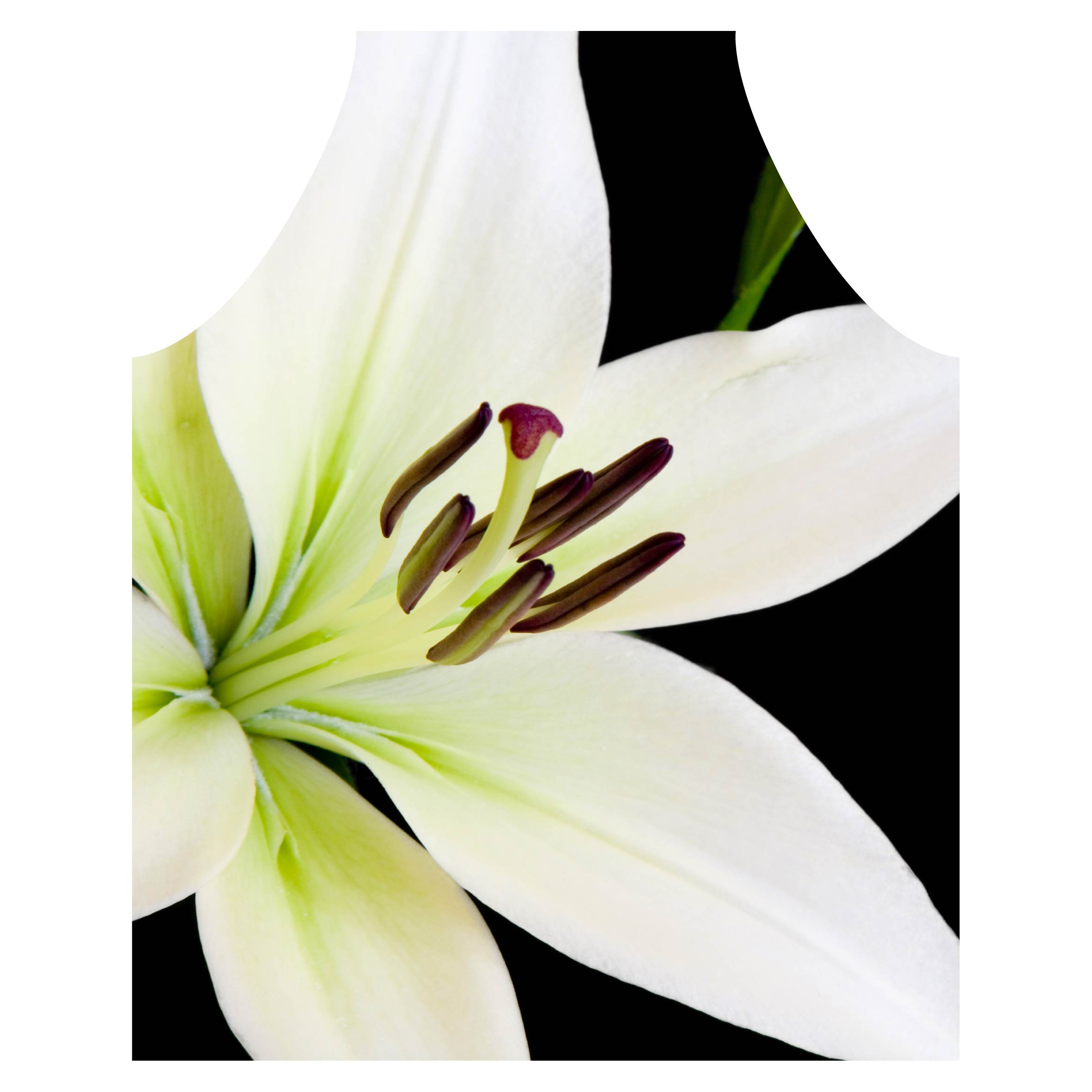 NIGHT LILY APRON