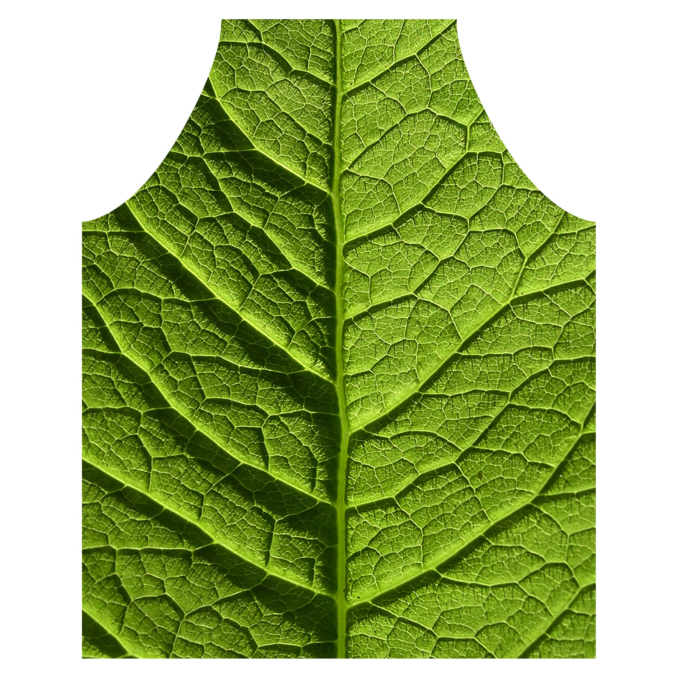 GREEN VEINS APRON