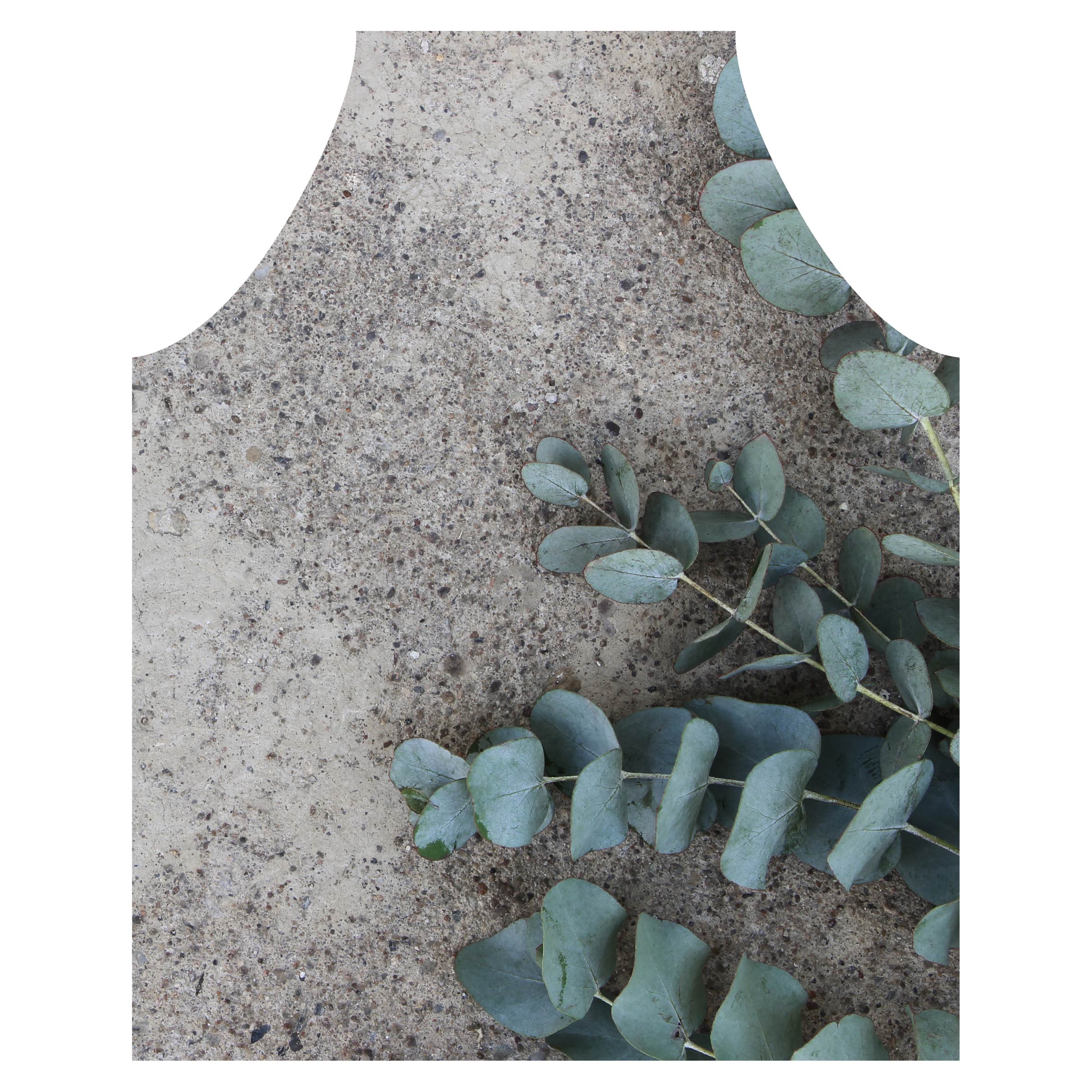 CONCRETE EUCALYPTUS LEAVES APRON