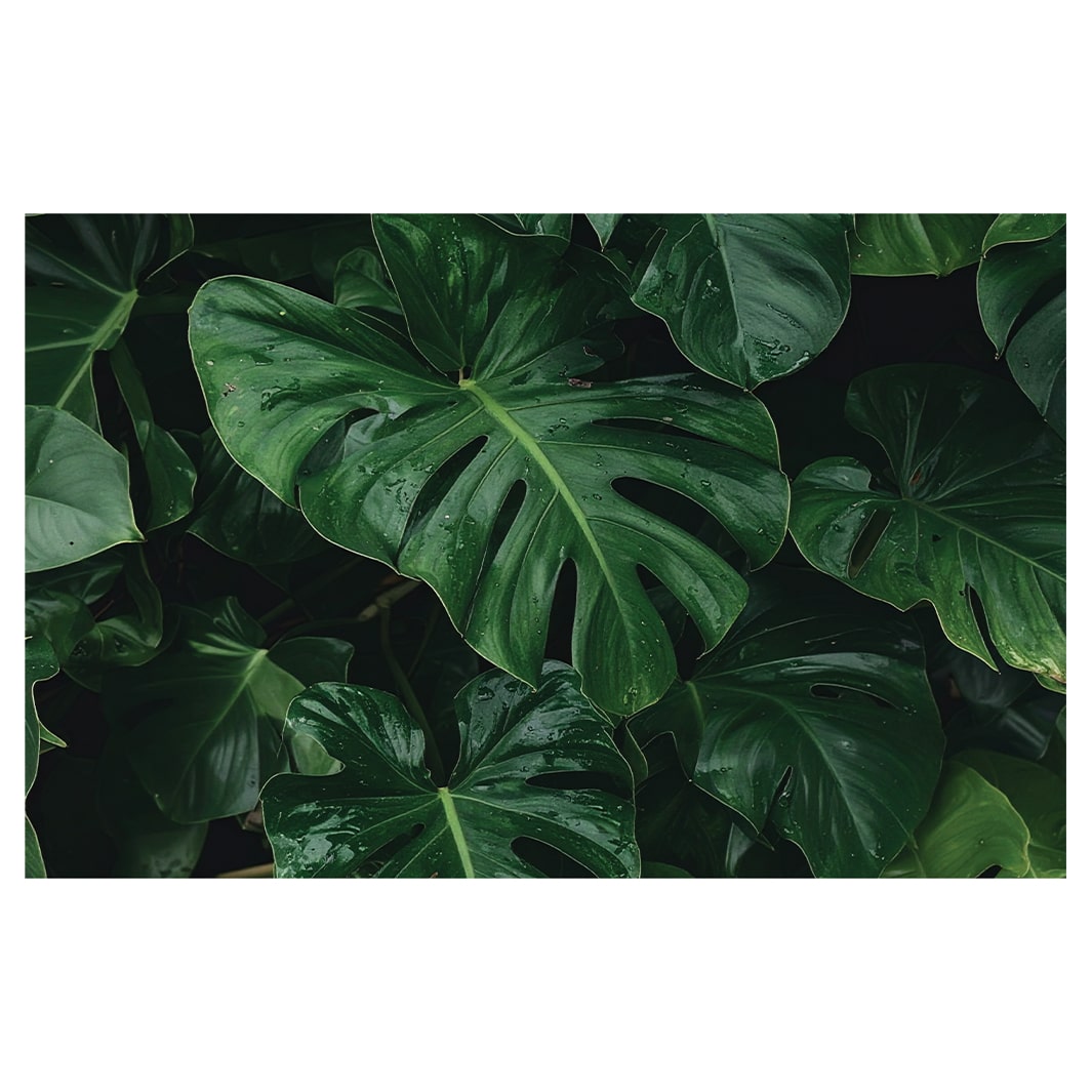 JUNGLE VIBES BATHMAT