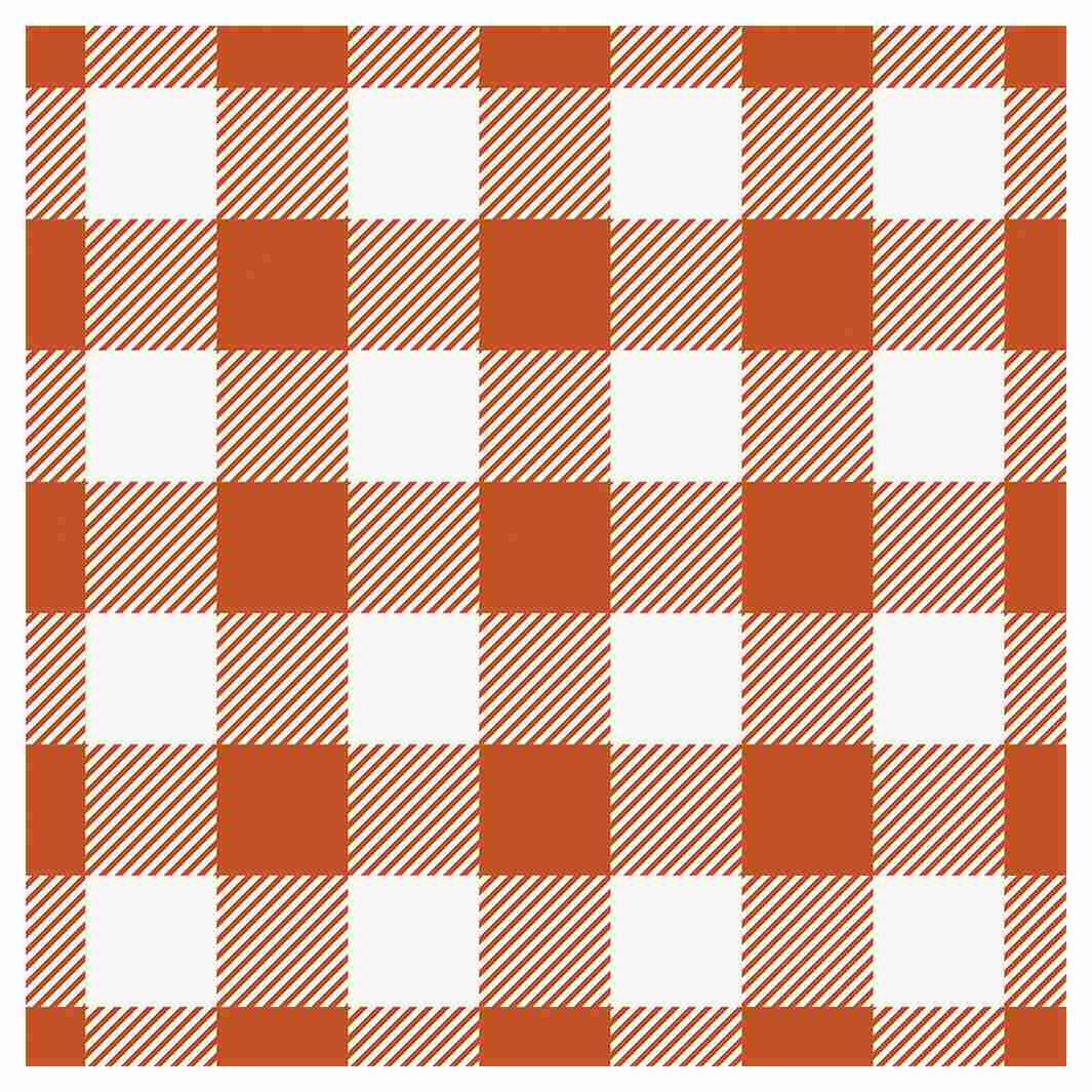 RUSTIC CHECK SQUARE SCATTER CUSHION