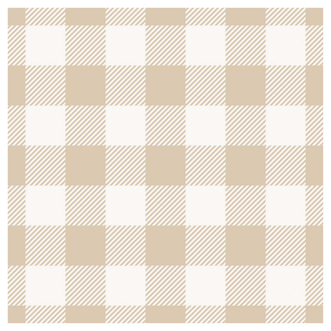 COZY CHECK SQUARE SCATTER CUSHION