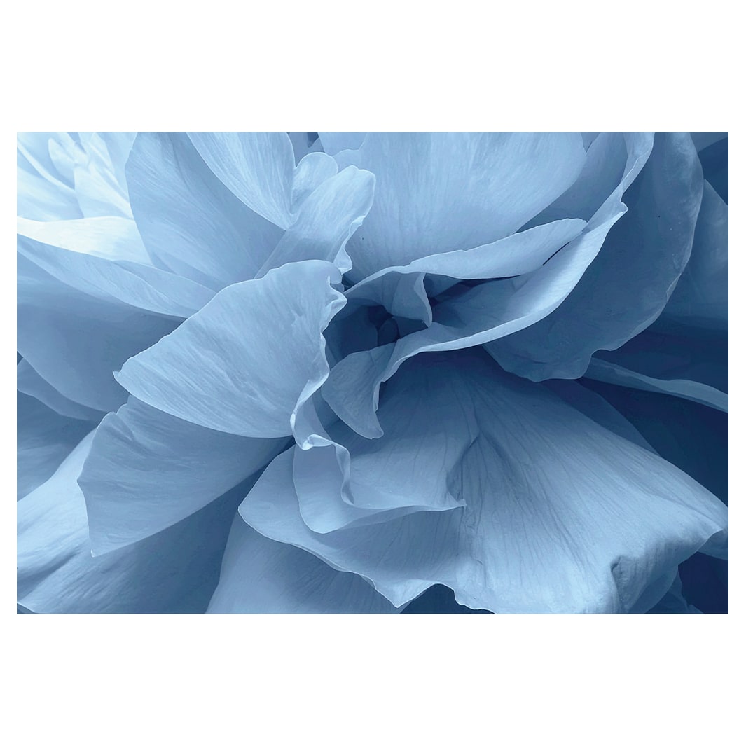 BLUE PETALS BATHMAT