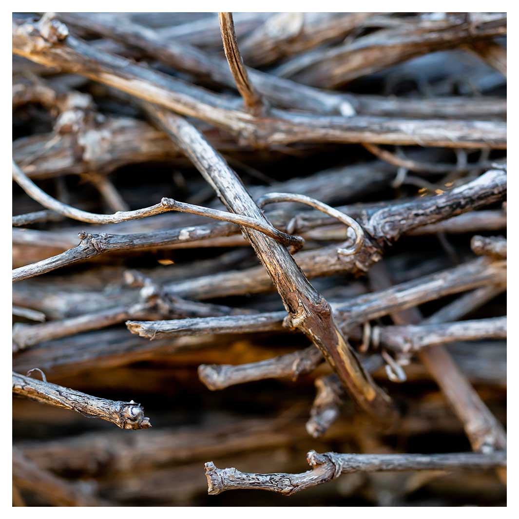 WOOD STICKS NAPKIN