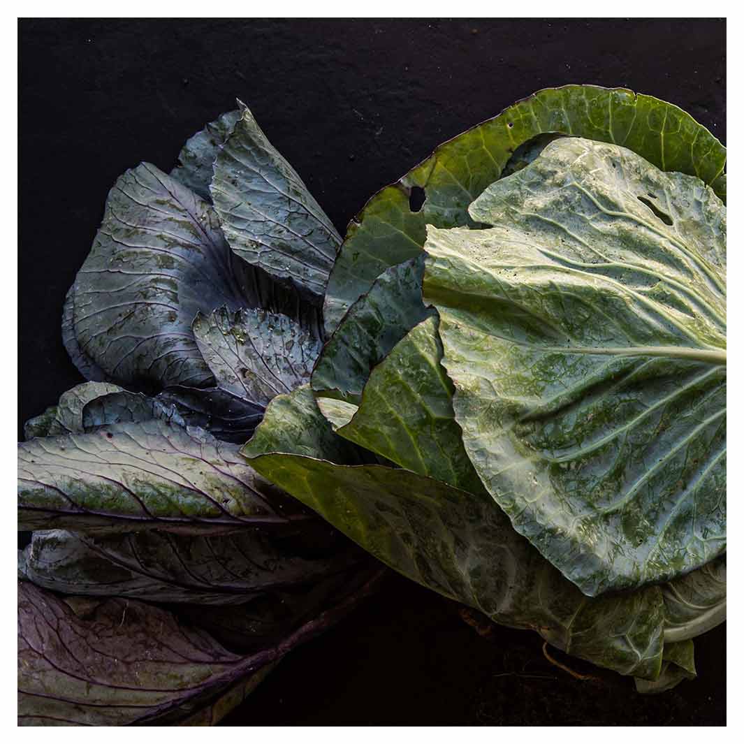 CABBAGE VEGETABLE LEAVES NAPKIN