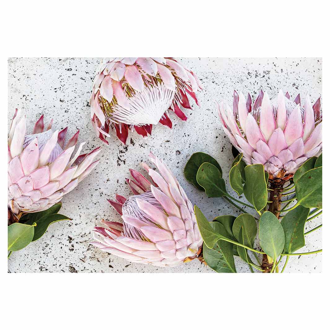 FLORAL PINK PROTEAS ON WHITE RECTANGULAR PLACEMAT