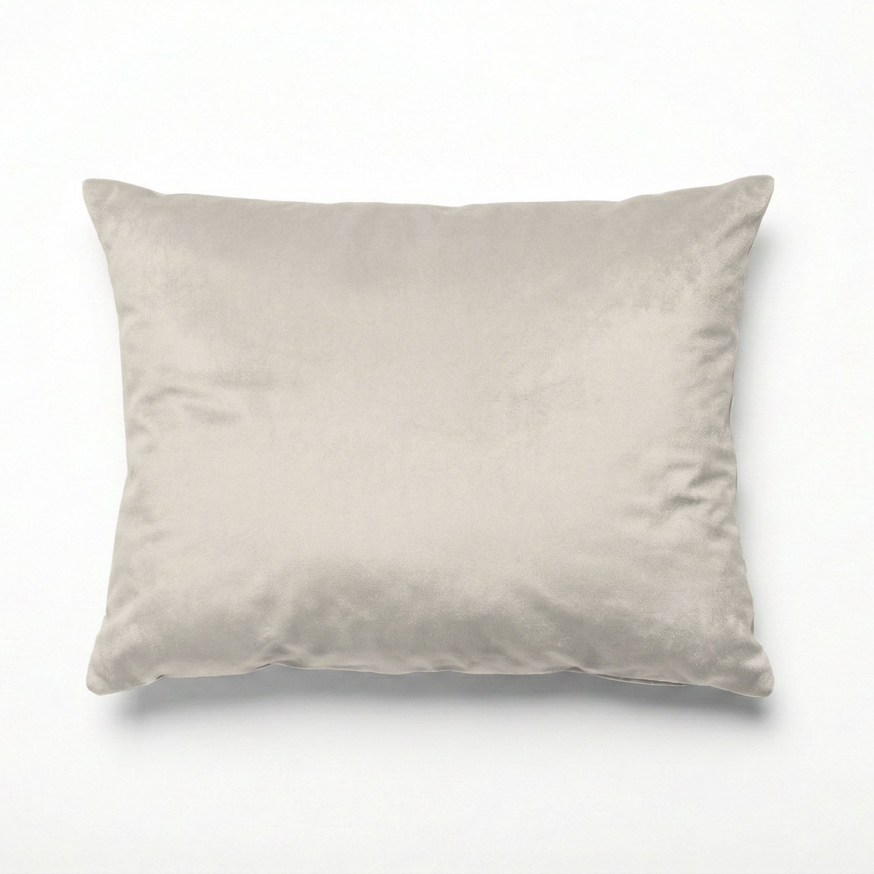 PARCHMENT SCATTER CUSHION