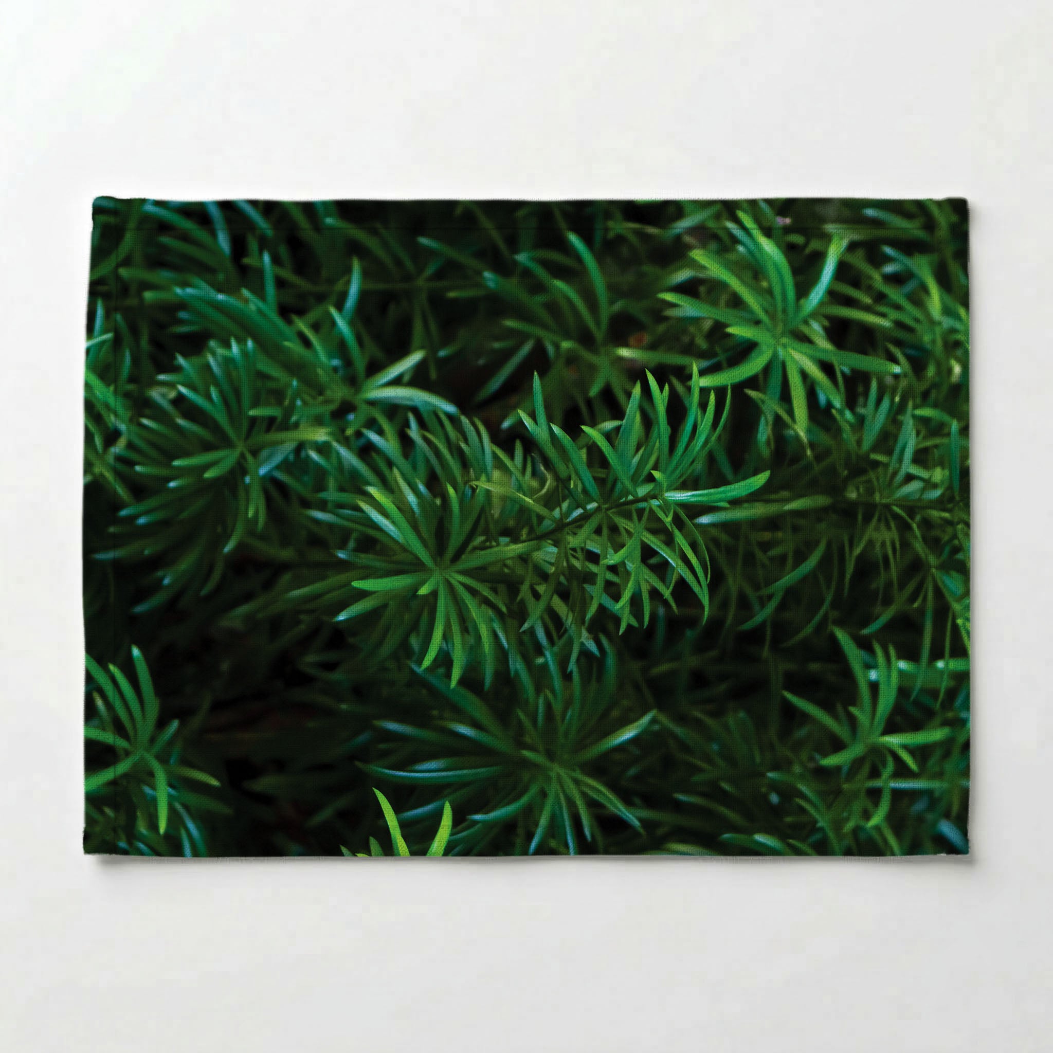 LEAVES GREEN TREE PLACEMAT