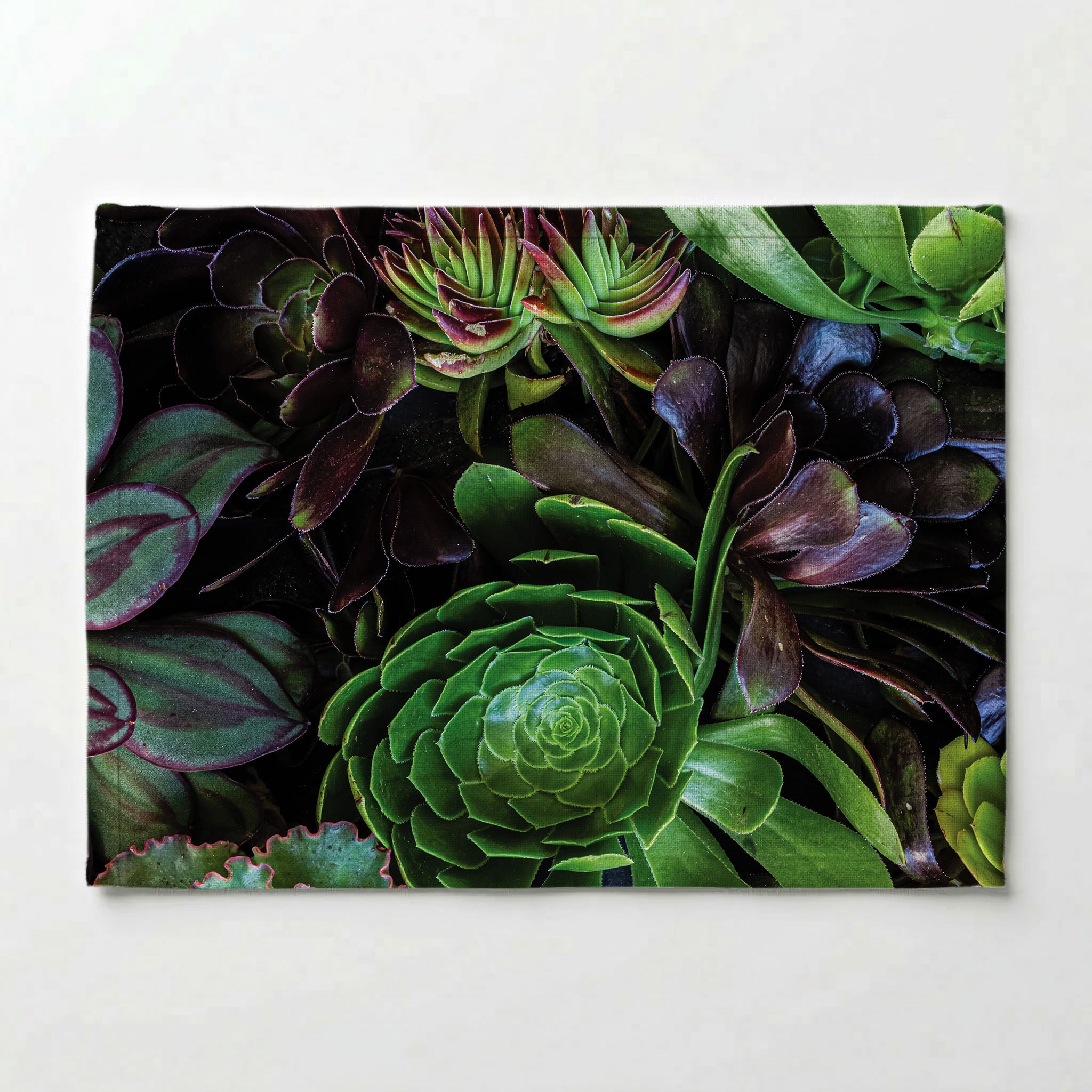 NATURAL GREEN AND PURPLE ALOE GARDEN PLACEMAT