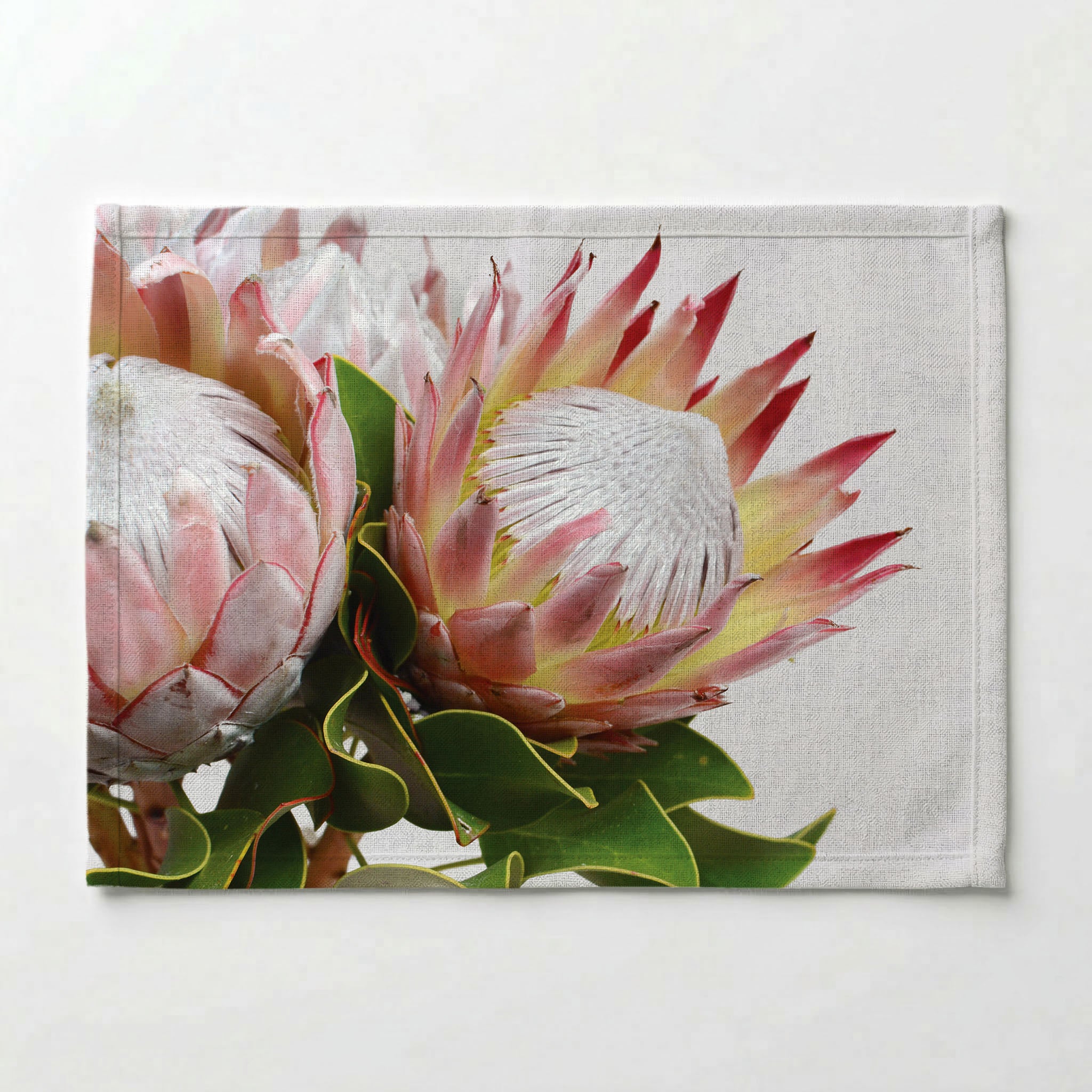 SOFT TRIO PROTEAS PLACEMAT
