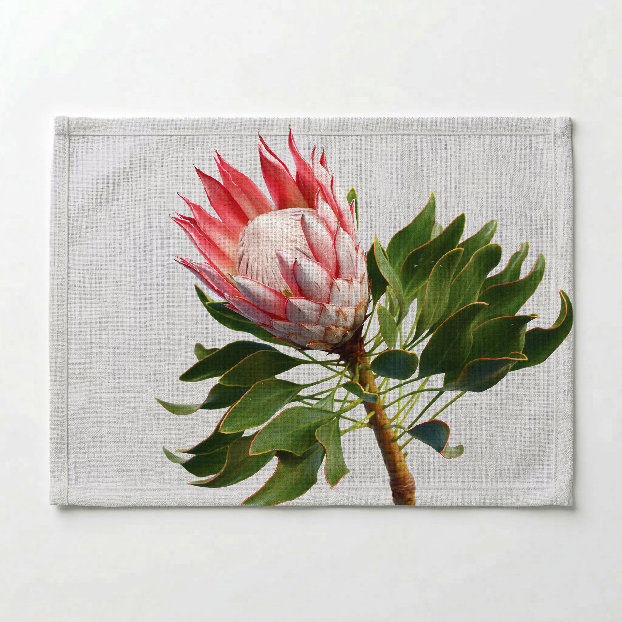 THE SOLO PROTEA PLACEMAT