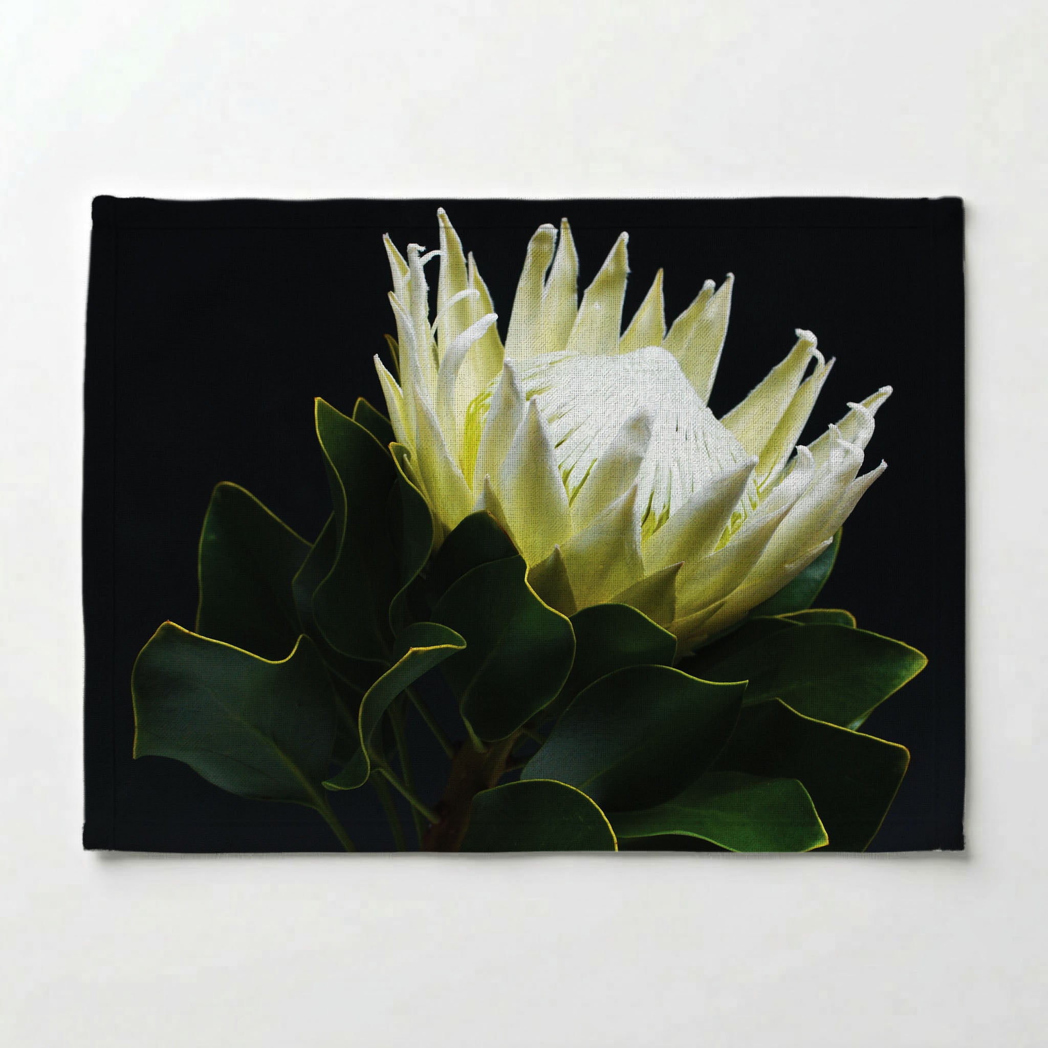 MIDNIGHT WHTIE PROTEA PLACEMAT