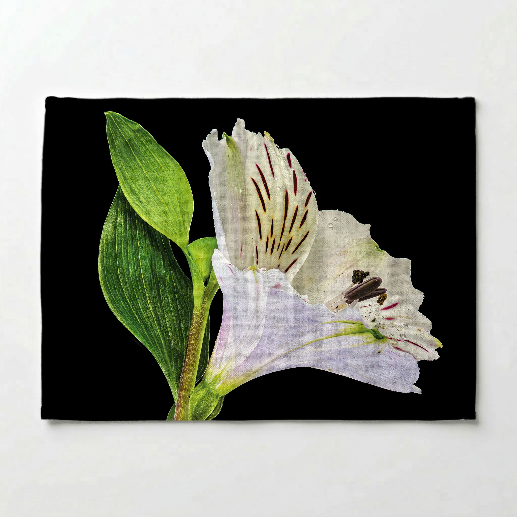 INCA SOLO PLACEMAT