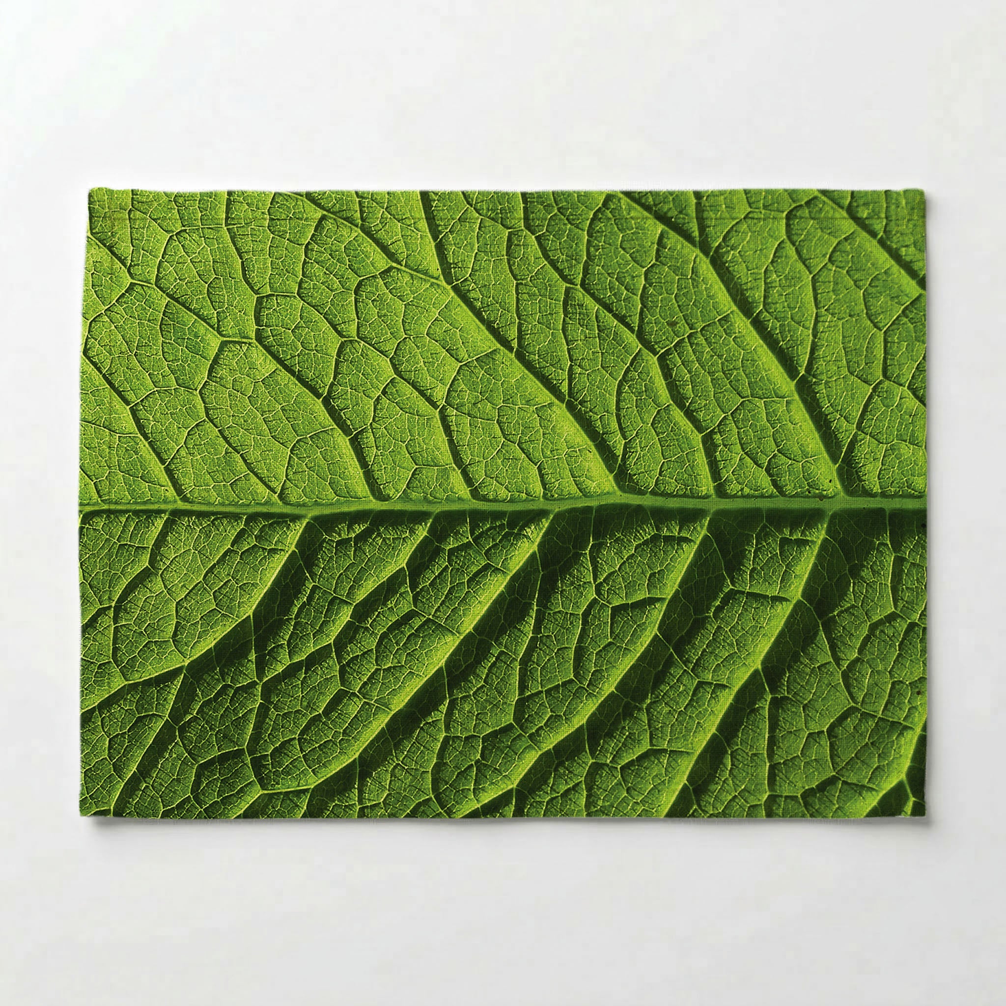 GREEN VEINS PLACEMAT