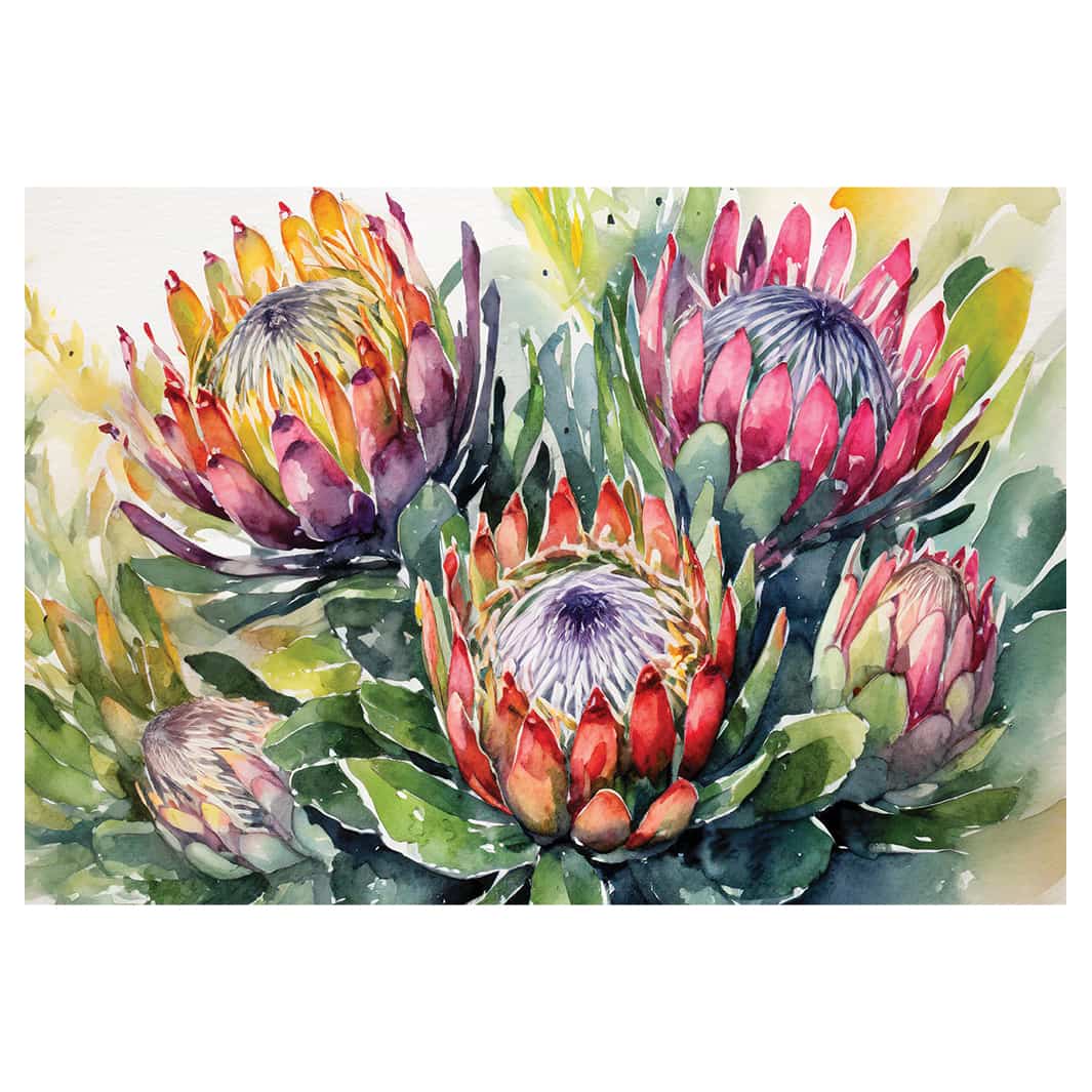 FIVE WATERCOLOUR PROTEAS PLACEMAT