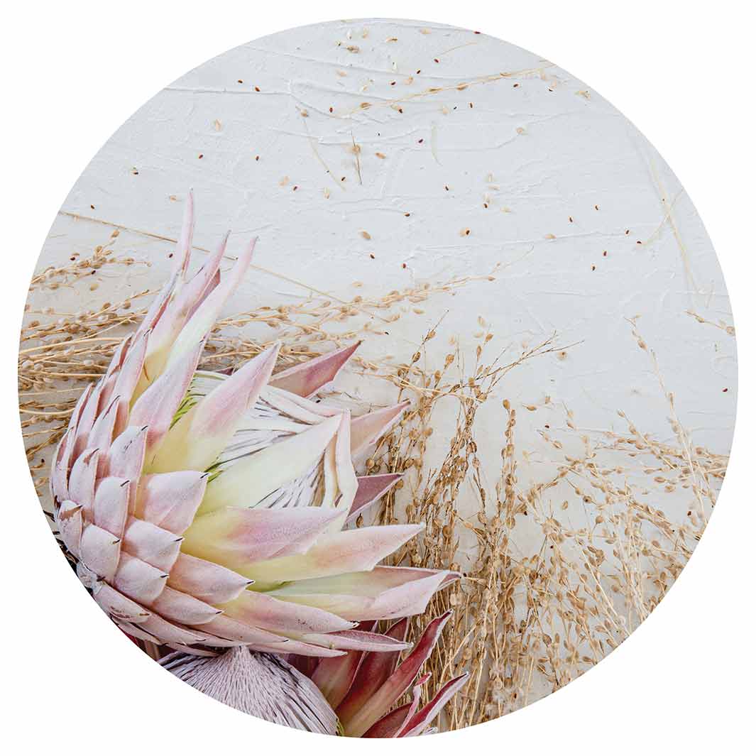FLORAL PINK GRASSY PROTEA CHEESEBOARD