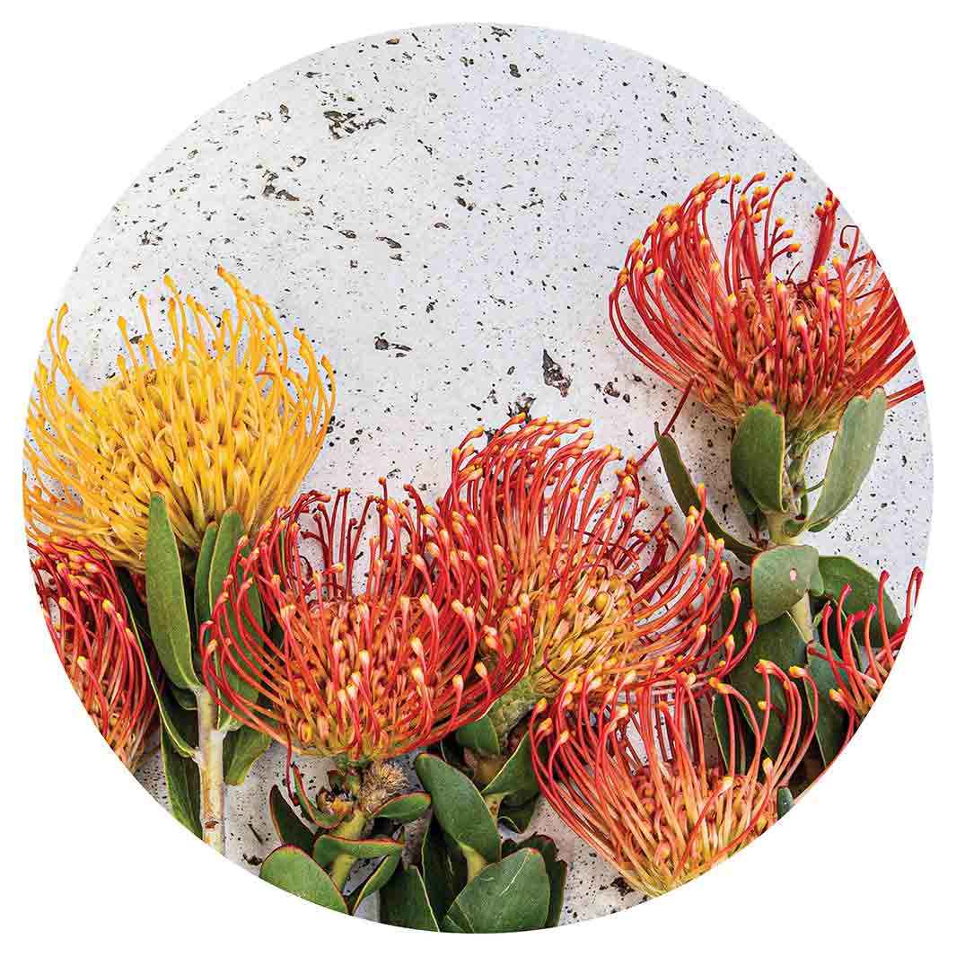 FLORAL ORANGE PIN CUSHIONS ON WHITE CHEESEBOARD