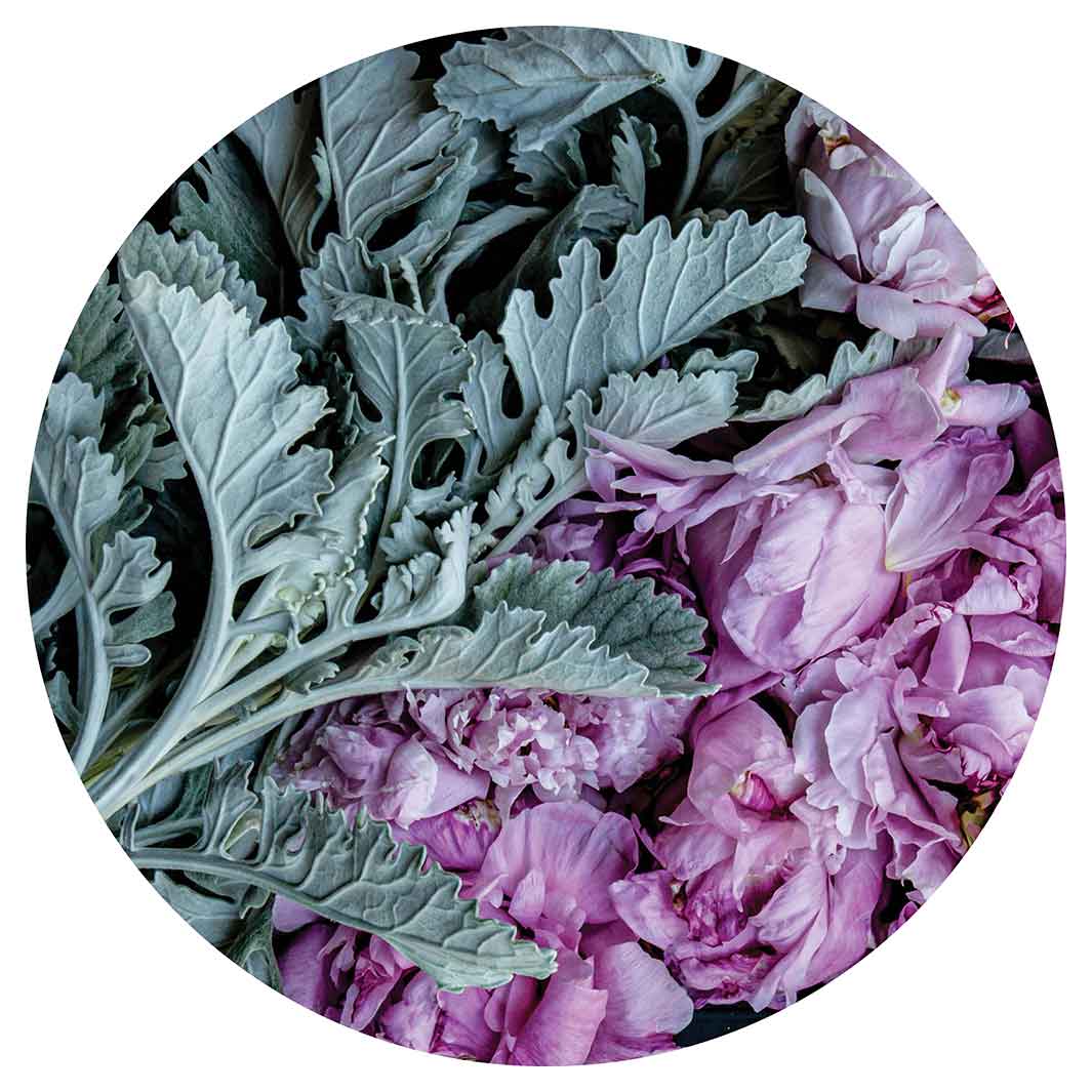 FLORAL SILVER LEAVES WITH PINK PEONIES CHEESEBOARD
