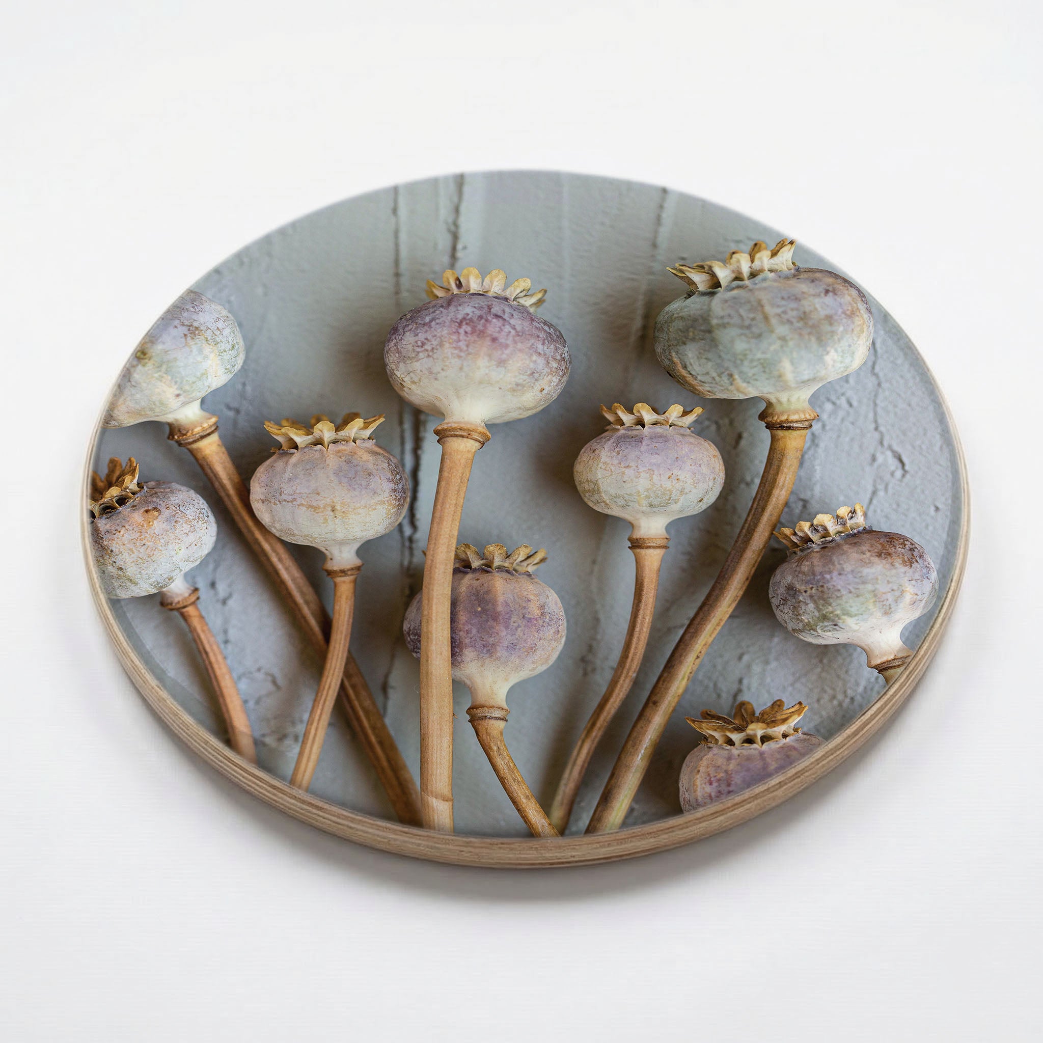 NATURAL PURPLE GIANT POPPY SEEDS ON GREY CHEESEBOARD