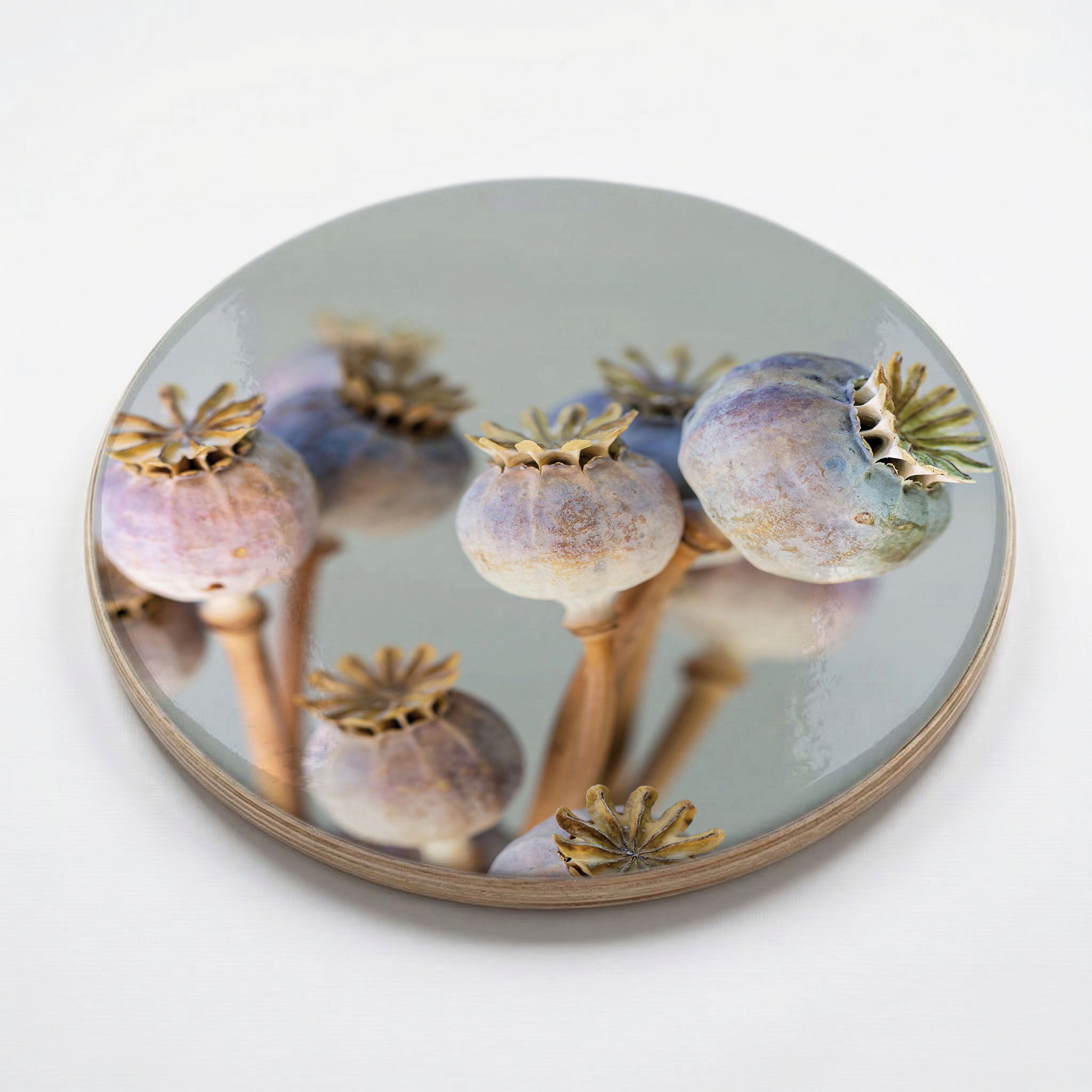 NATURAL PURPLE GIANT POPPY SEED BUNCH ON GREY CHEESEBOARD