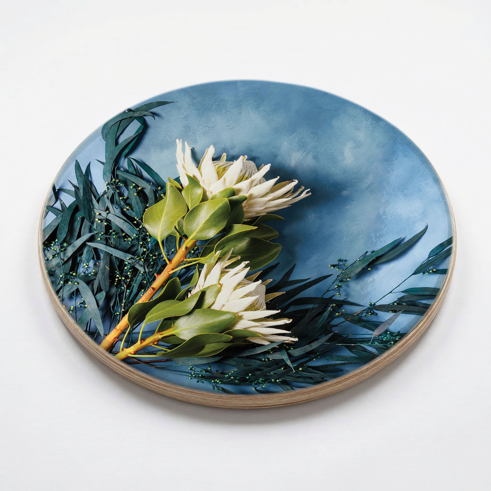 WHITE PROTEAS AND EUCALYPTUS ON BLUE CHEESEBOARD