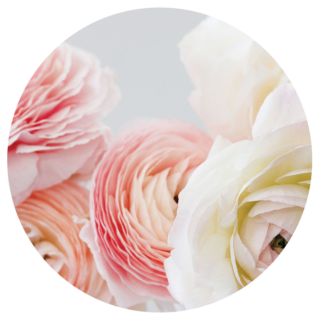 CLOSE-UP PINK AND WHITE PEONIES CHEESEBOARD