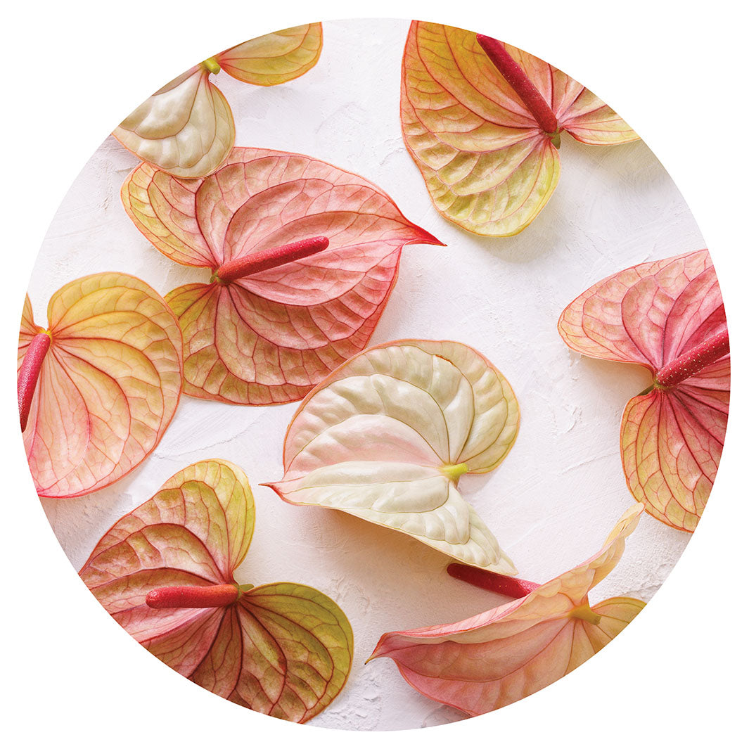 SCATTERED ANTHURIUM BLOOMS CHEESEBOARD