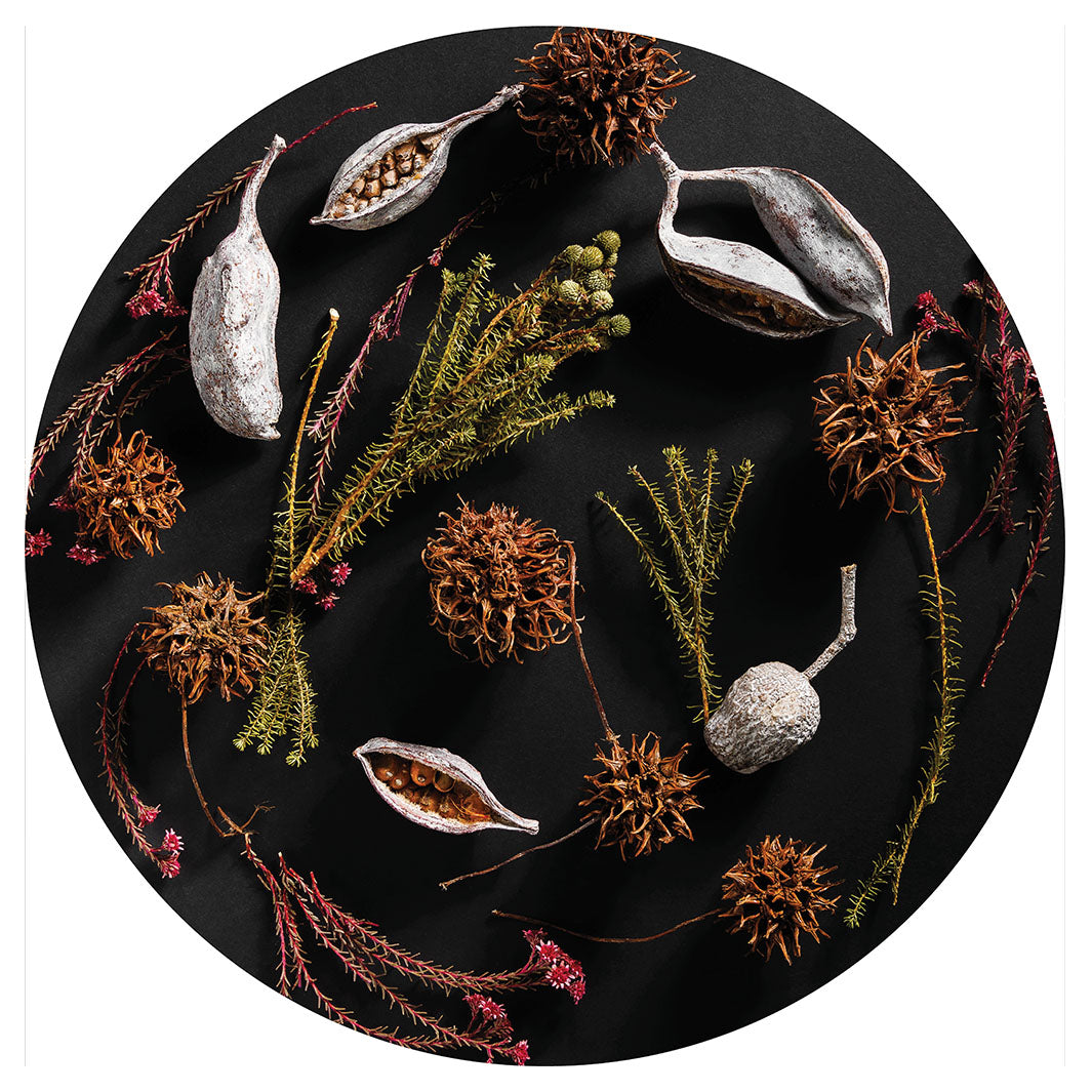DRIED PODS, SPRIGS, AND SEEDS ON BLACK CHEESEBOARD
