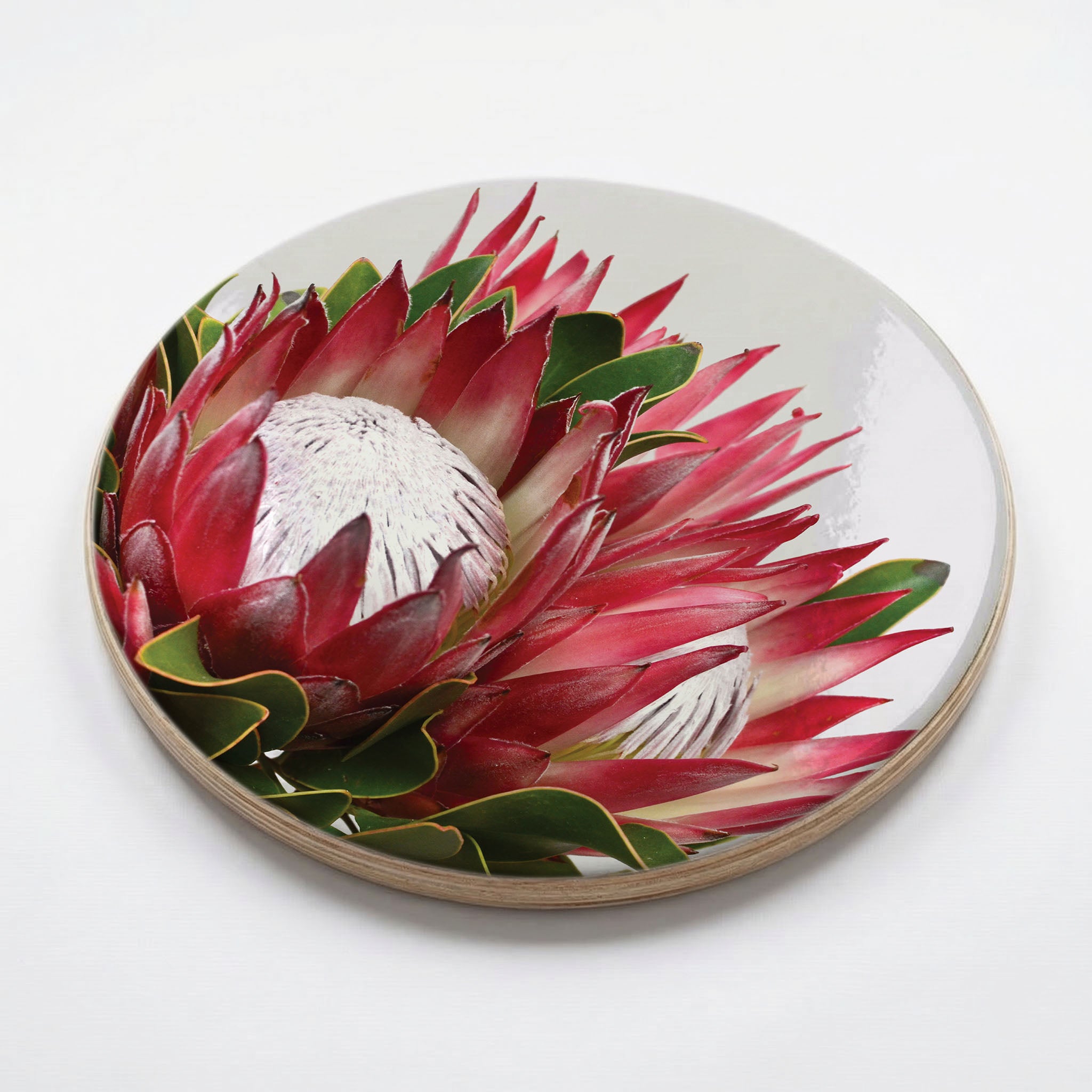 THE CLUSTER PROTEAS CHEESEBOARD
