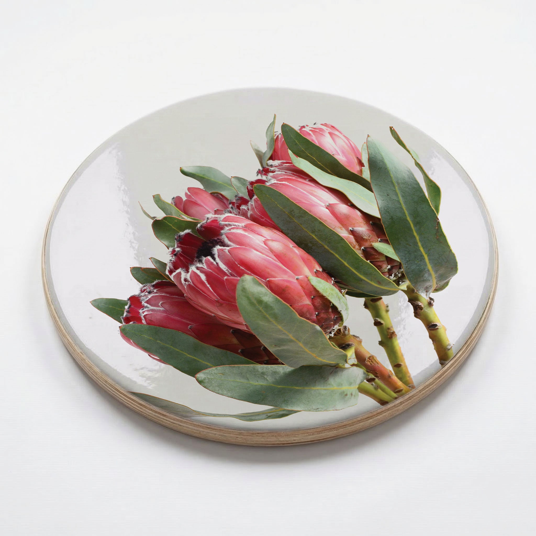STANDING TALL PROTEAS CHEESEBOARD